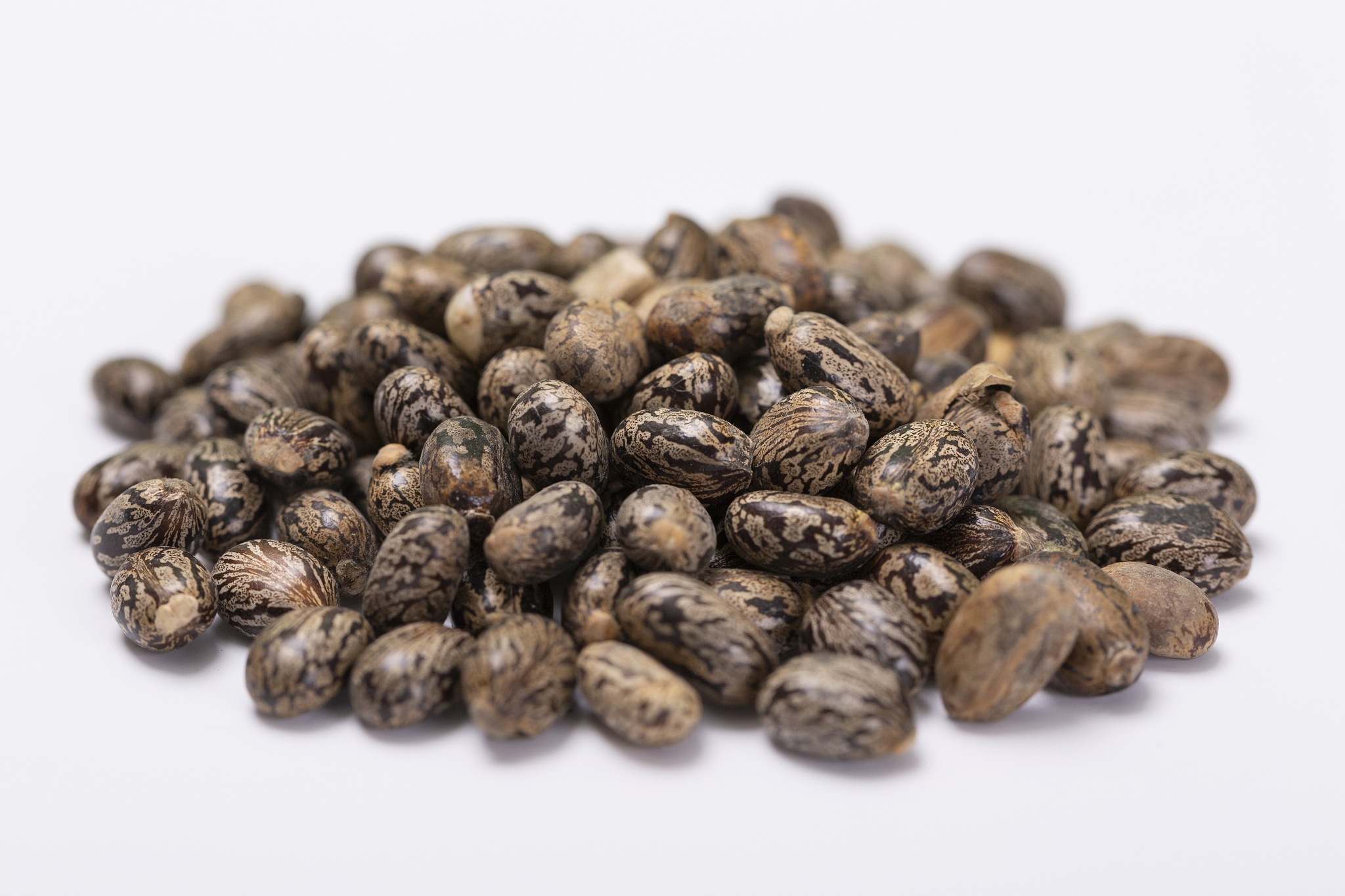 宿迁职业技术学院种子生产与经营就业方向是什么