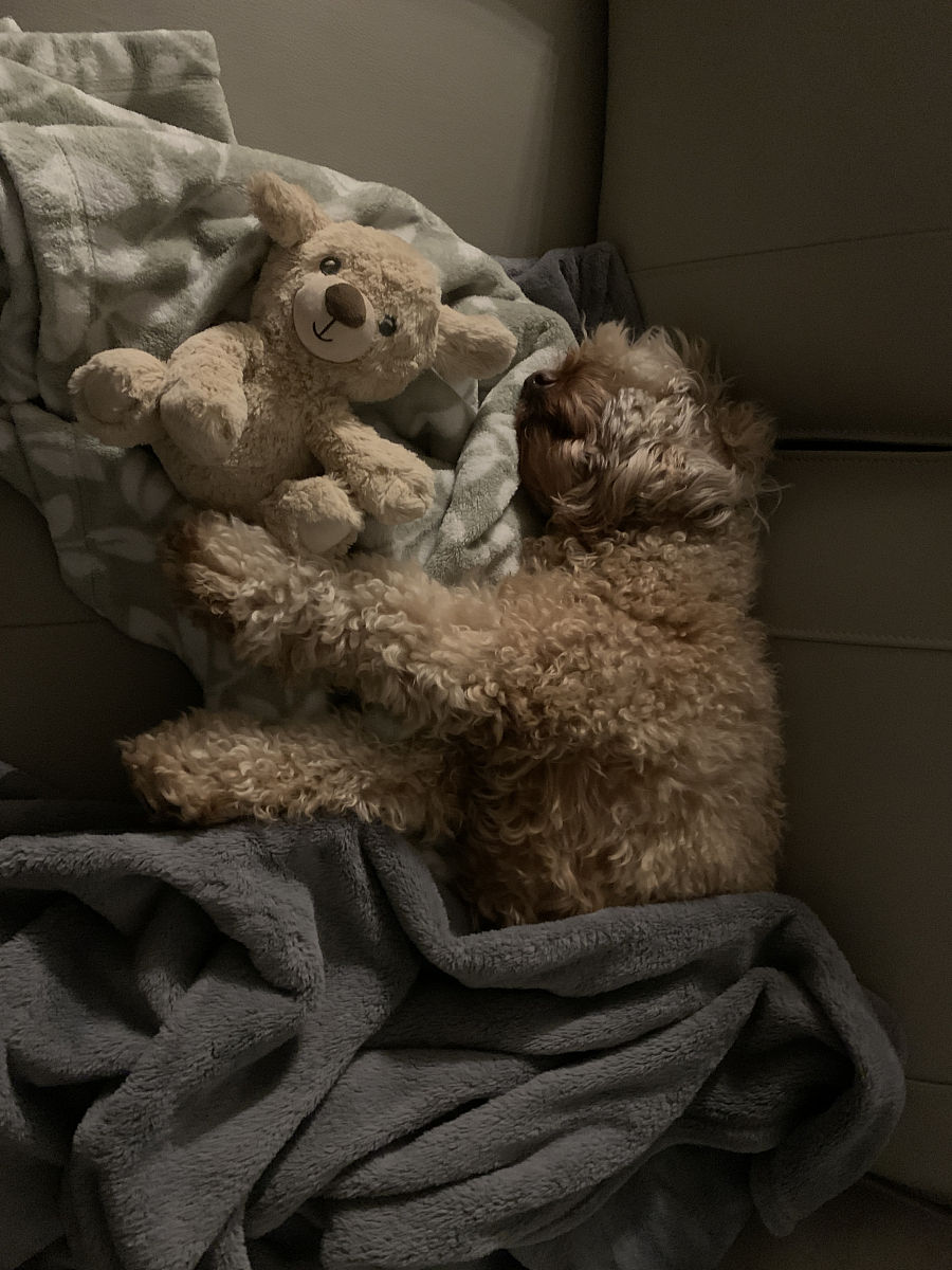 午睡睡多久合适