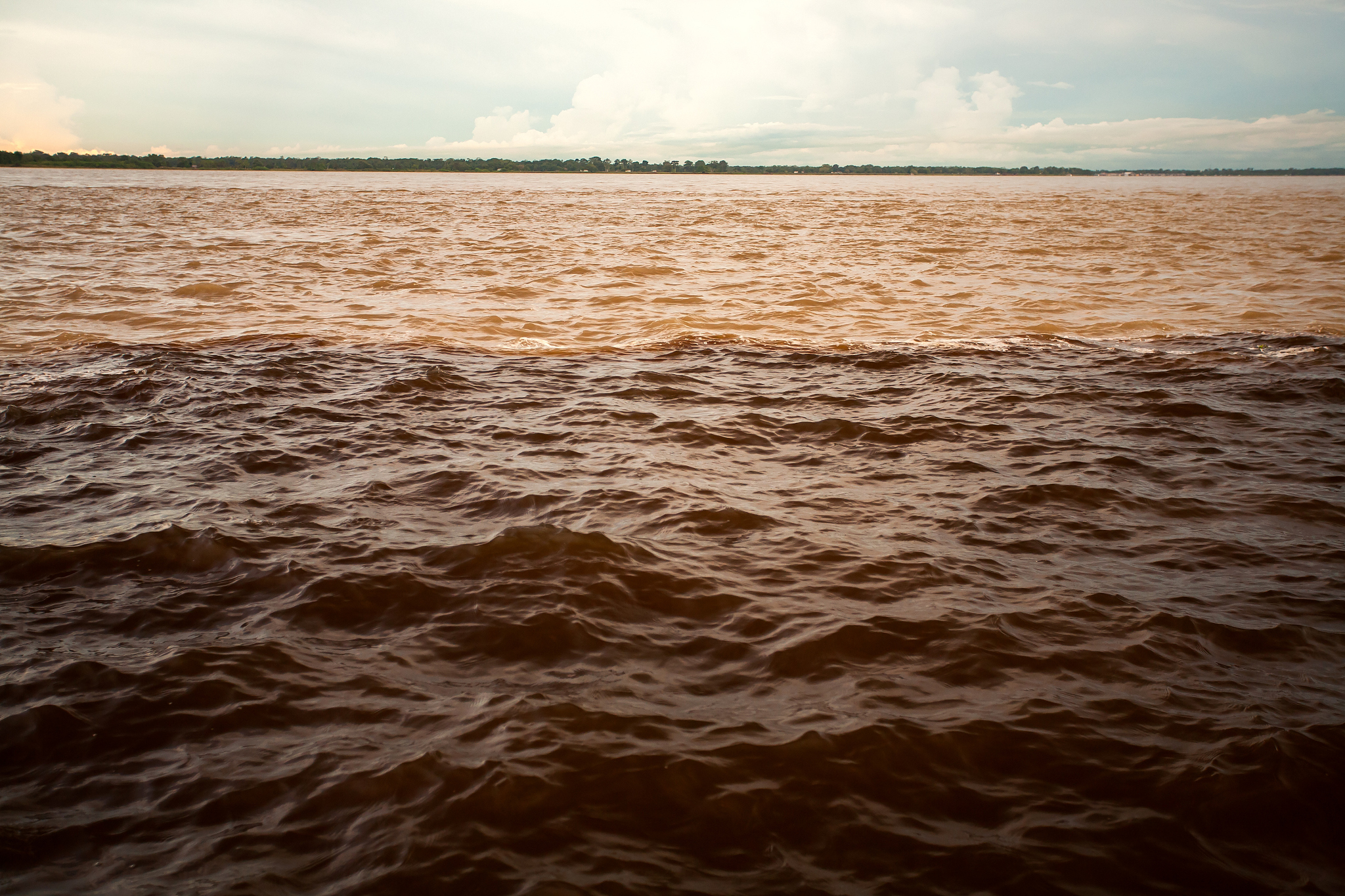 次の文を日本語に訳してください：It was a big scam Banerjee said while addressing a TMC workers meeting in Purulia district in the state