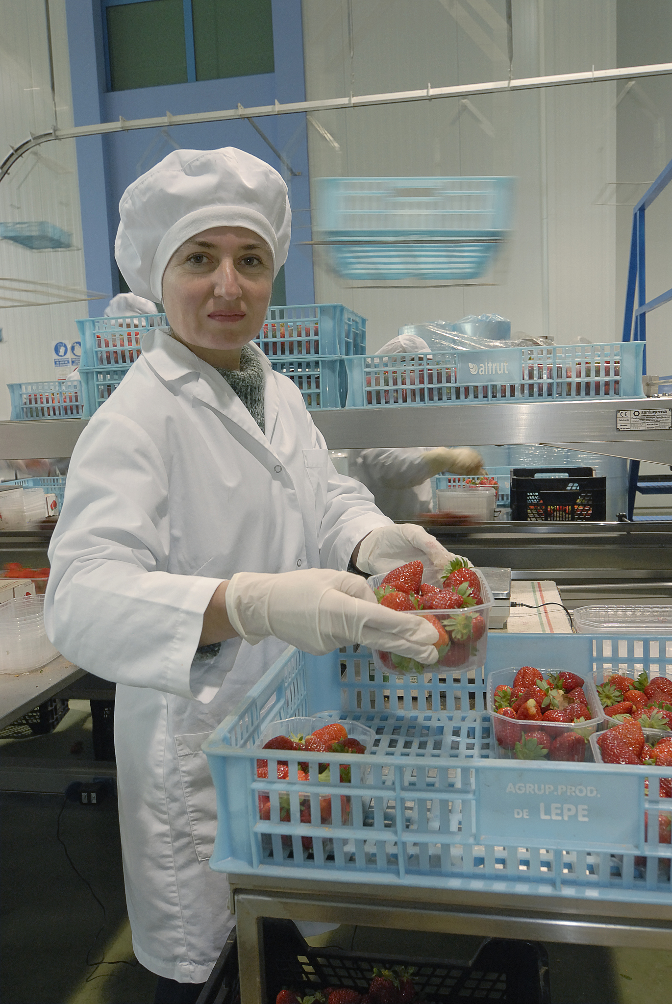 2023食品科学与工程专业有前途吗 前景好不好