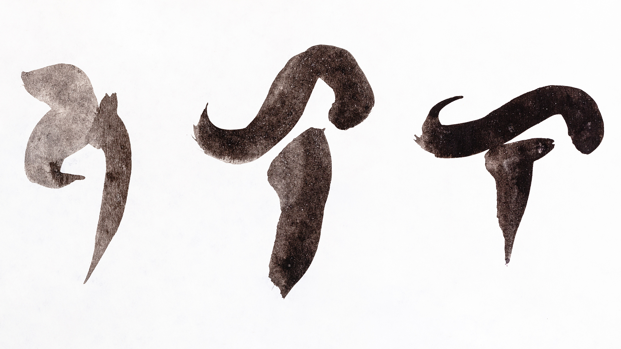 stylized image of mushrooms handpainted by black