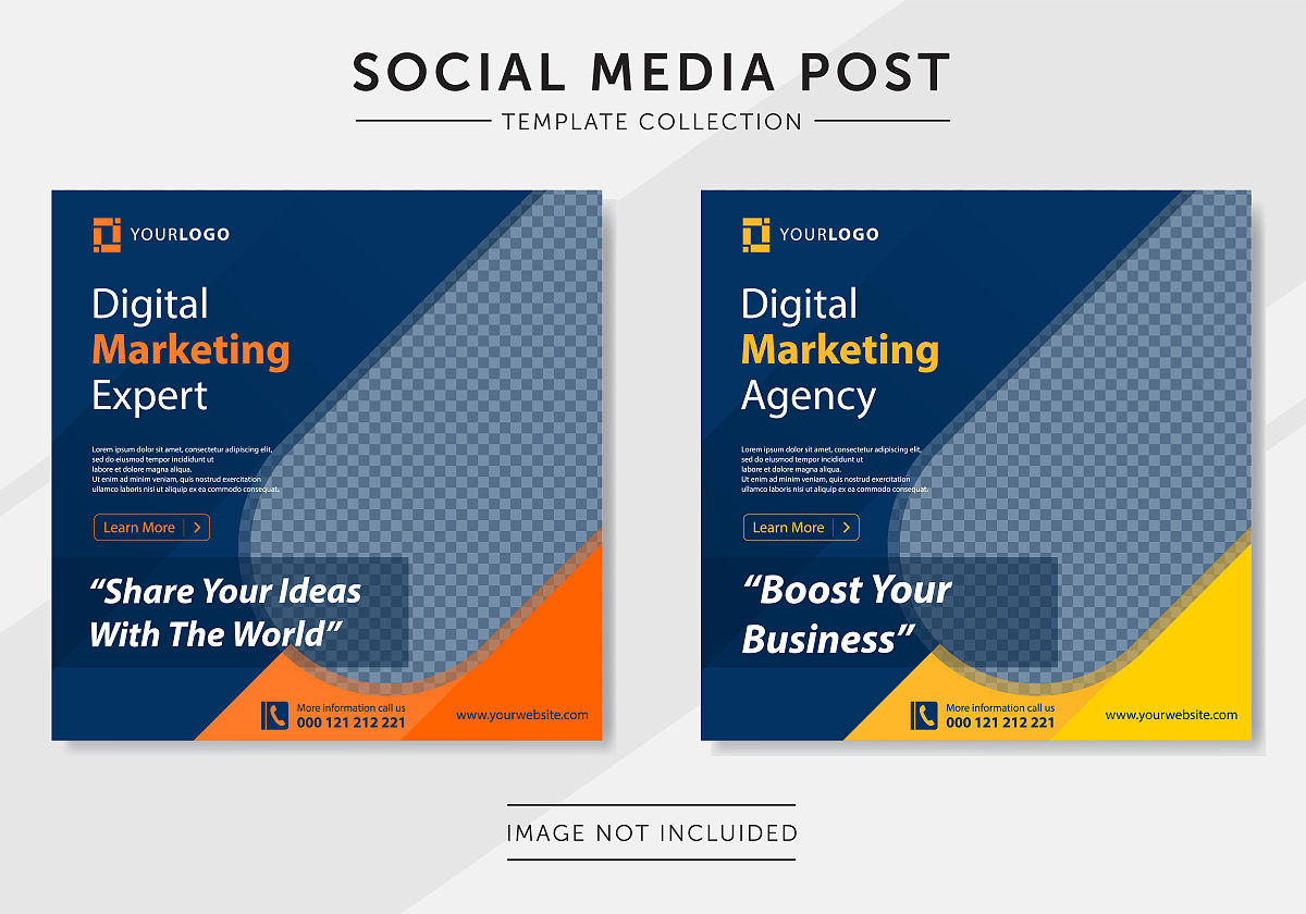 齐峰果业猕猴桃产品策略分析：如何提升竞争优势？