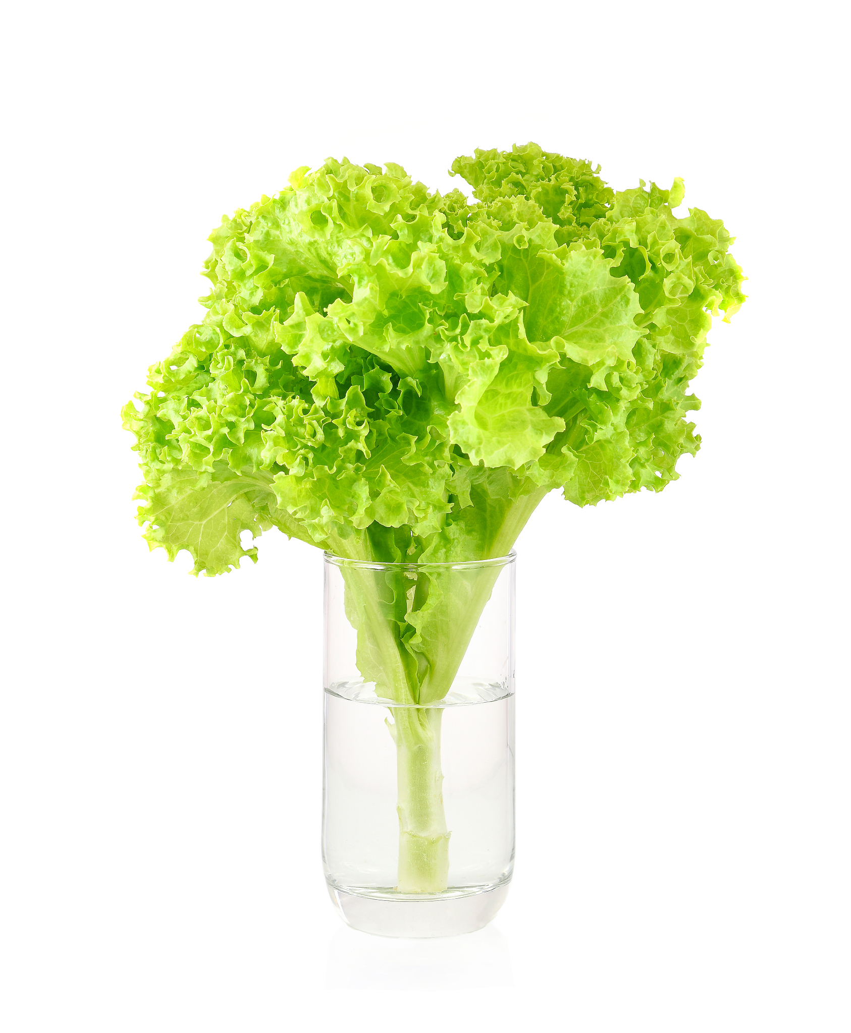 LettuceConnectionFactory(sentinelConfig, clientConfig) 支持版本