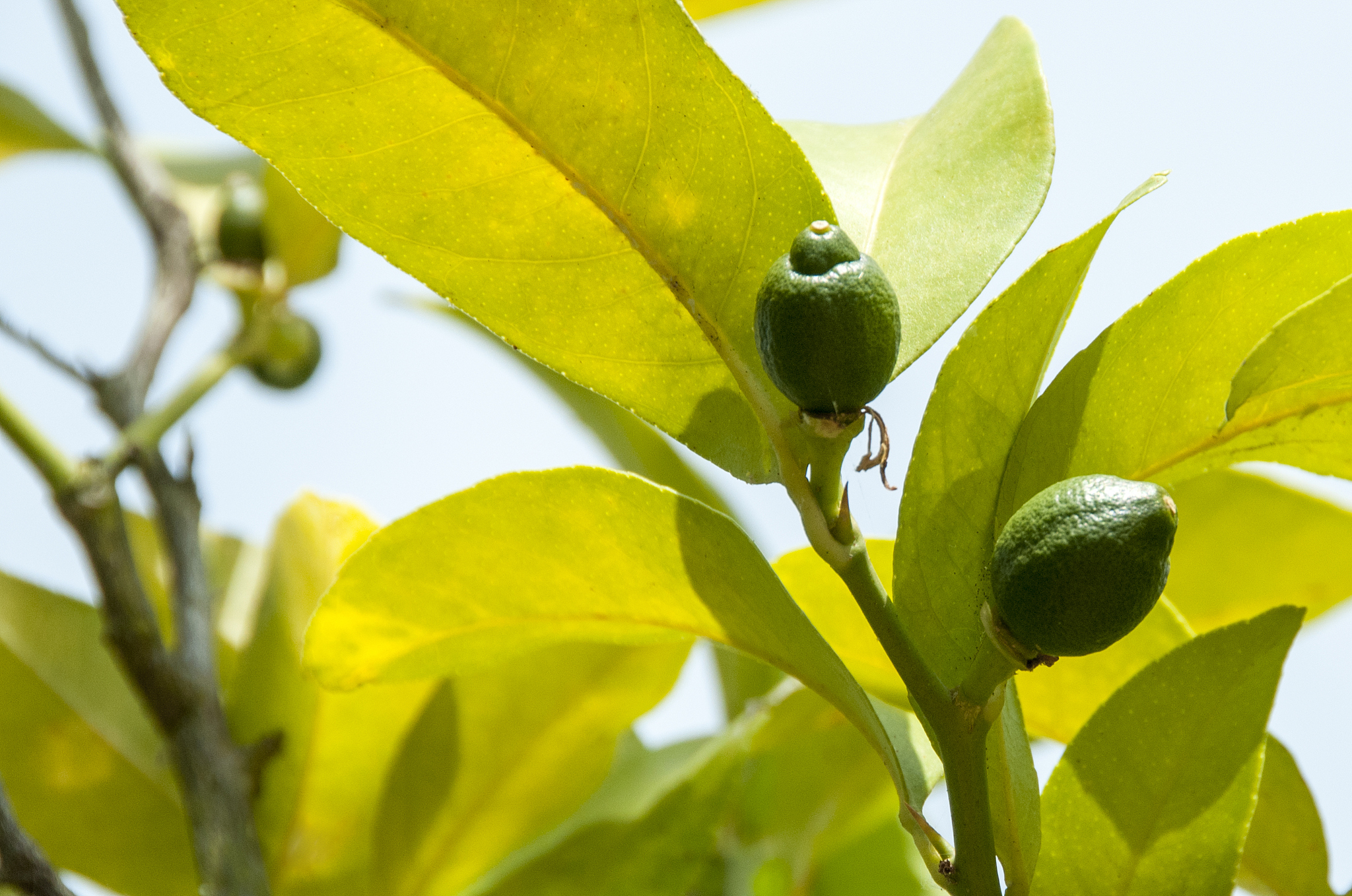 机械有限公司ERP软件项目可行性报告
