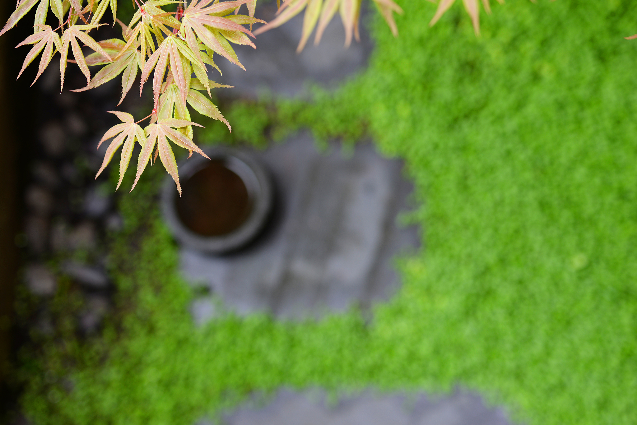jardin zen