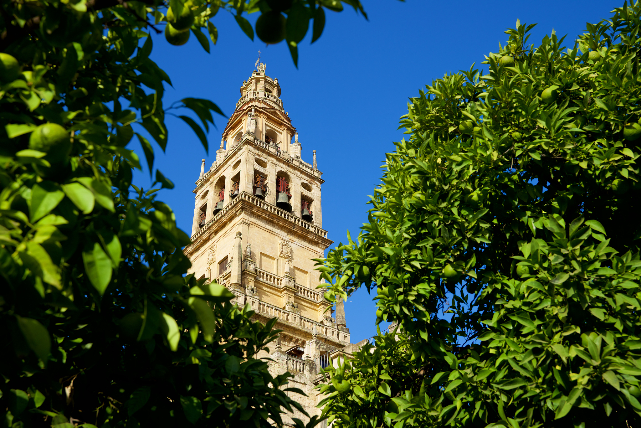 cordoba mosque