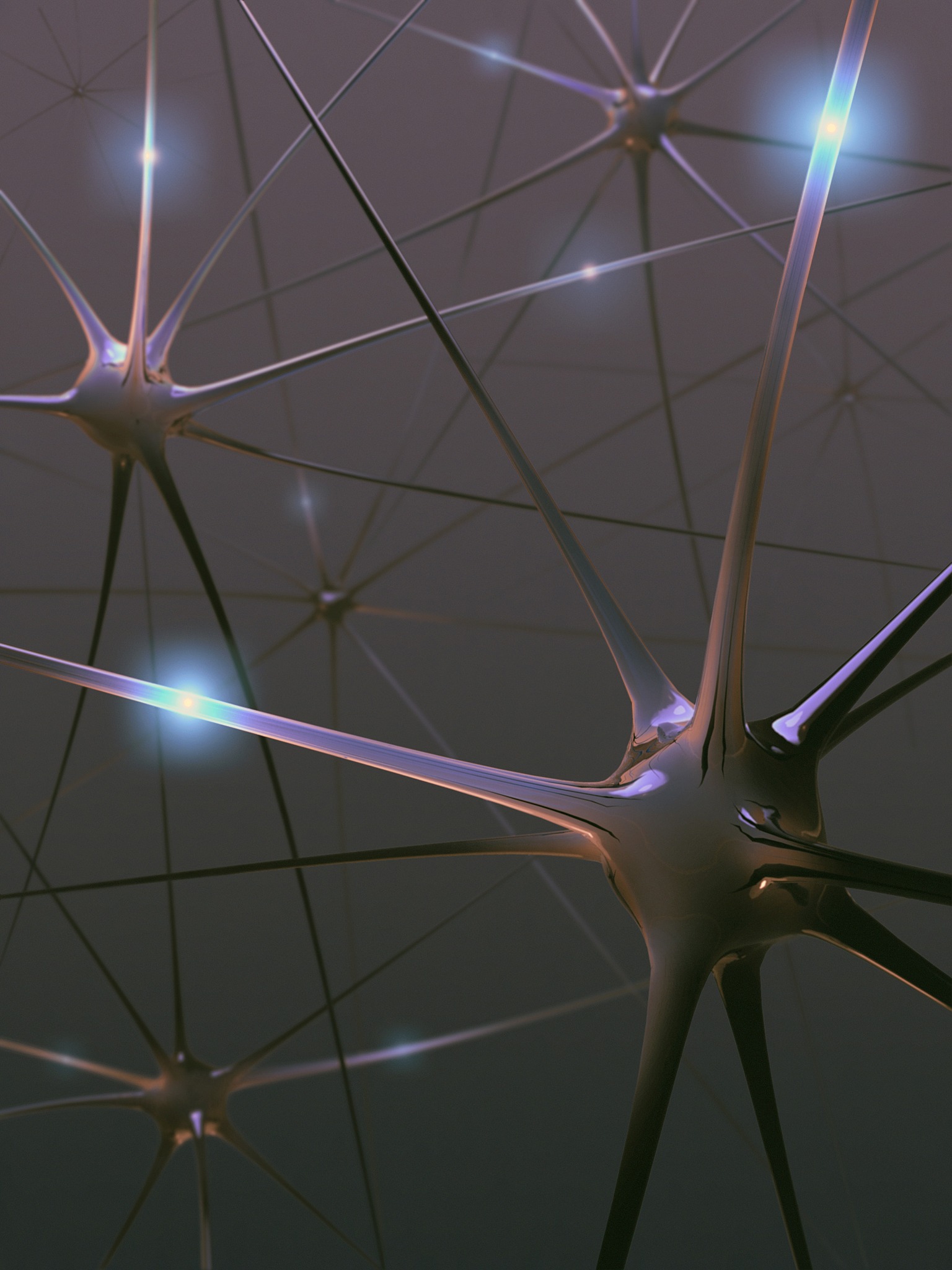 论文《Renderable Neural Radiance Map for Visual Navigation》的2000字总结