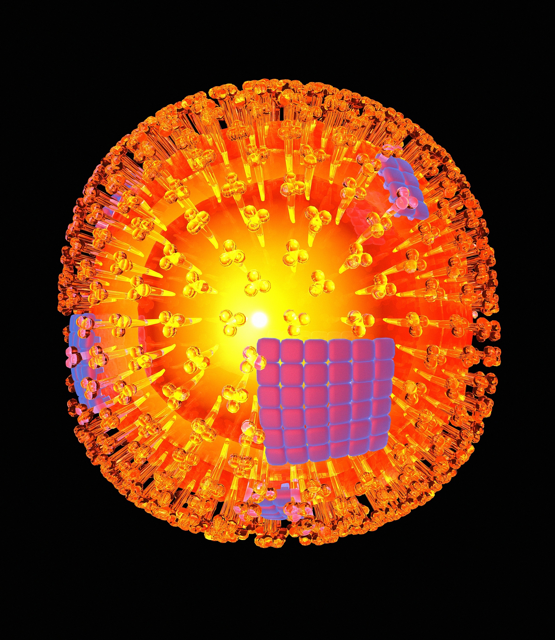 云南文化艺术职业学院2021年有哪些专业