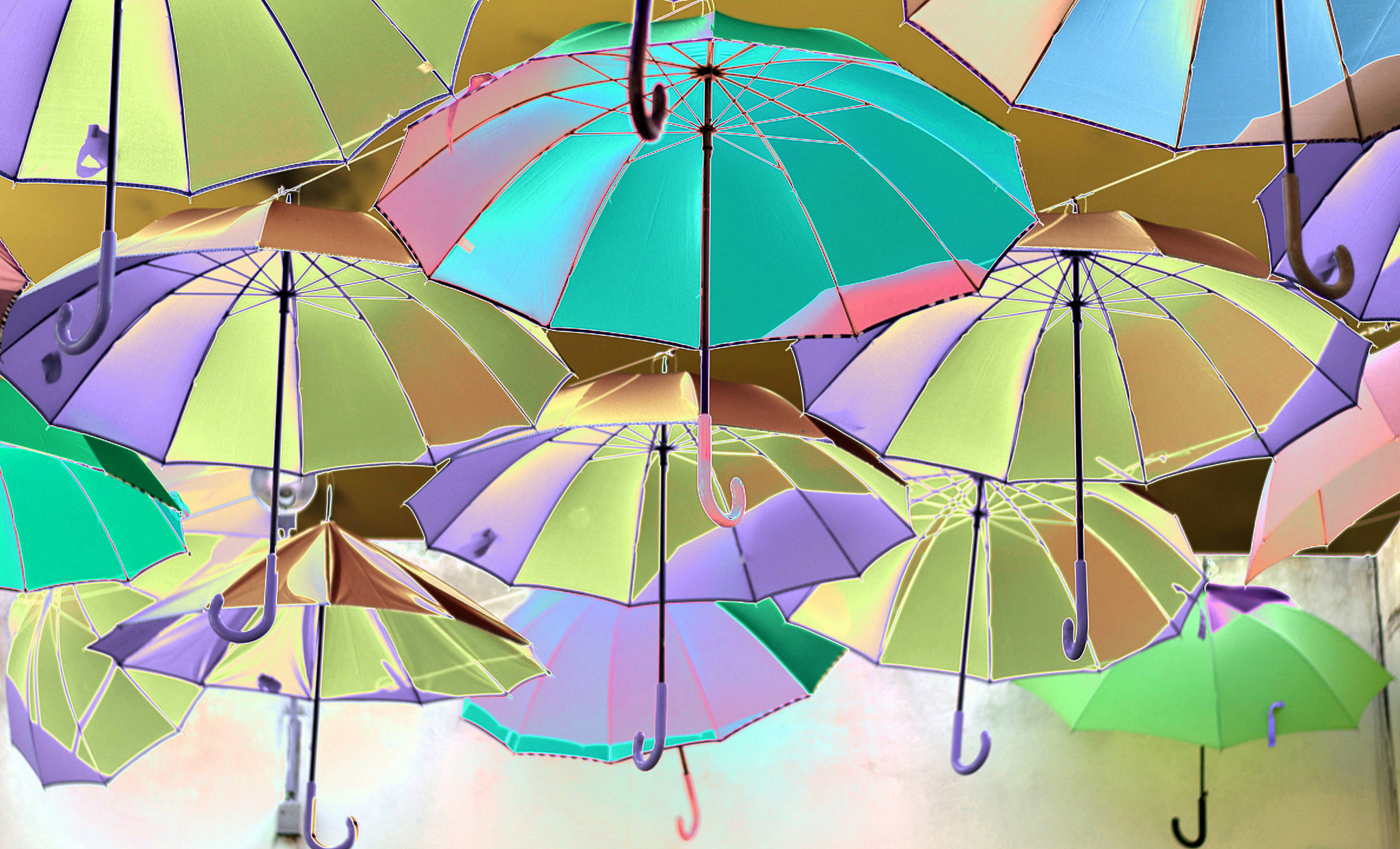 colorful umbrellas open for rain in the autumn months