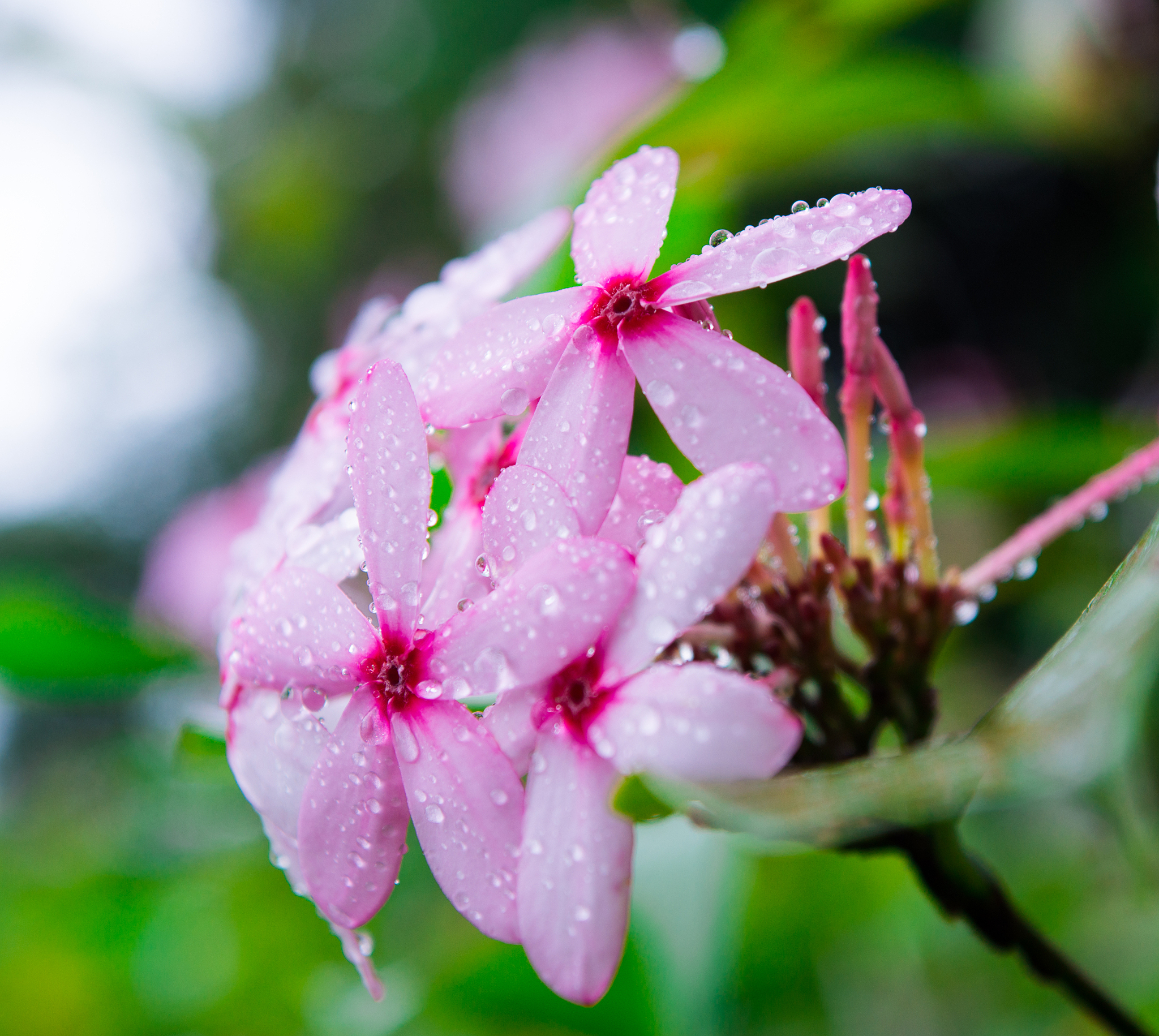 景洪档案整理公司_专业档案归档管理_【价格优惠】