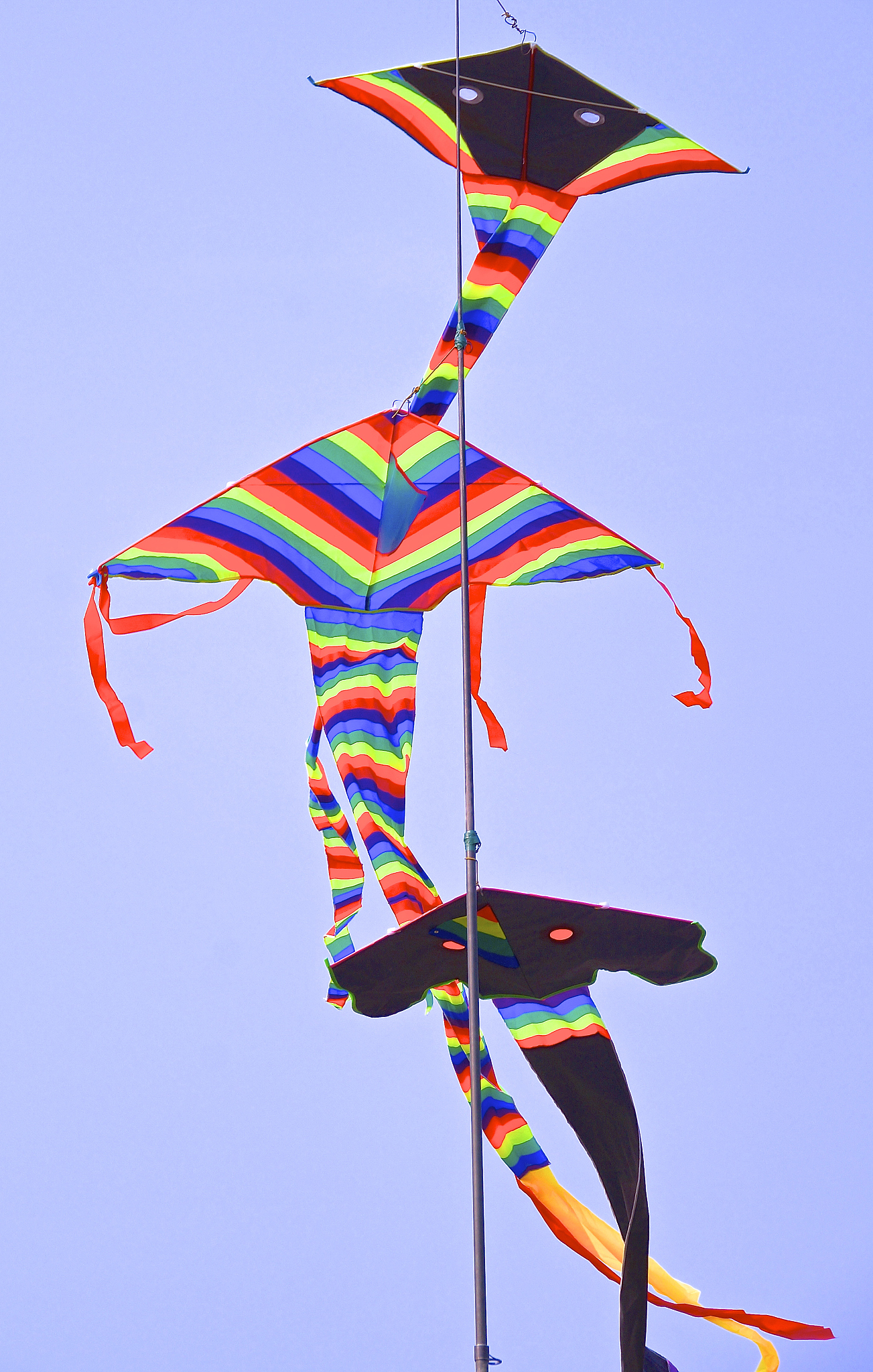 colorful flying kite