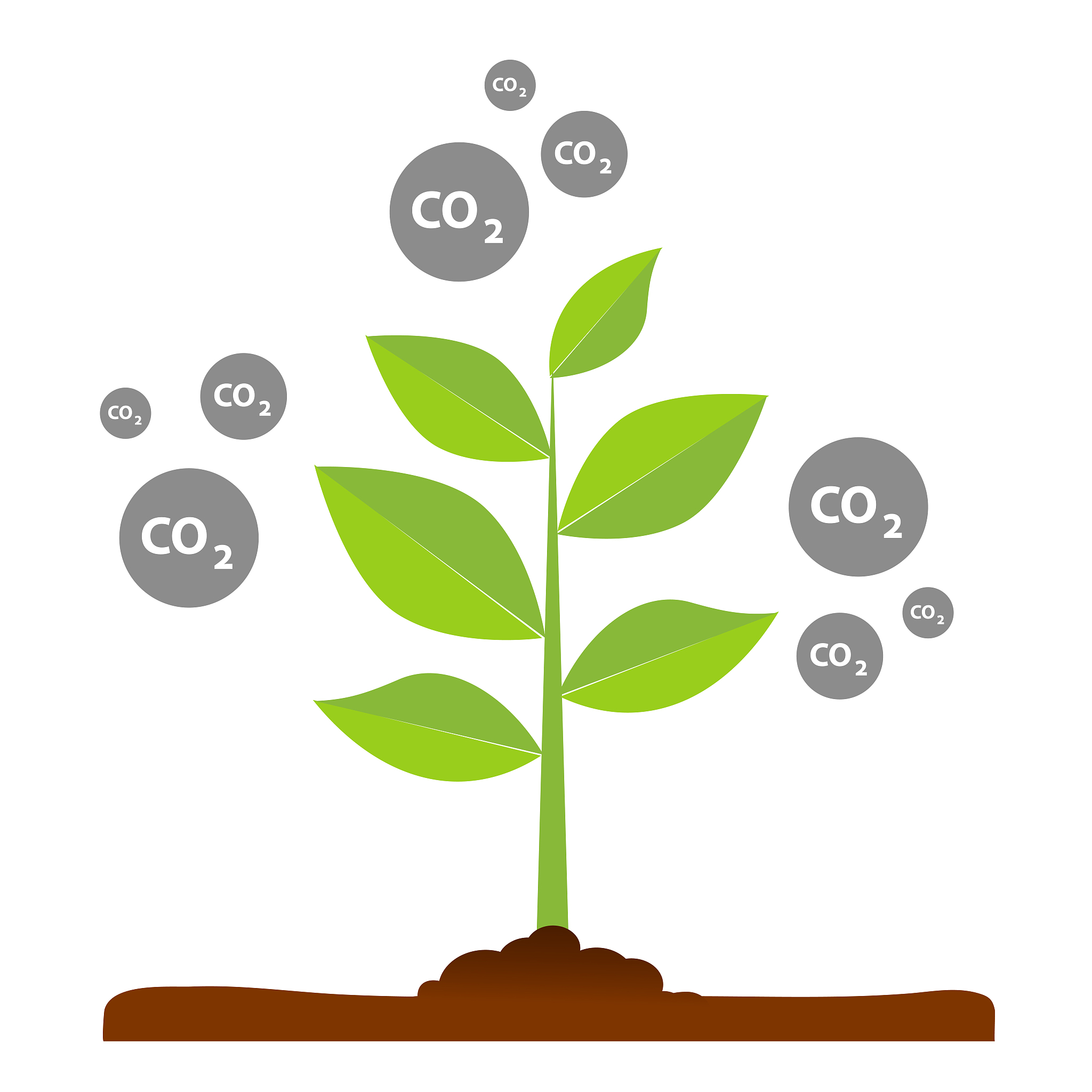 农作物的固碳占全球固碳的比重