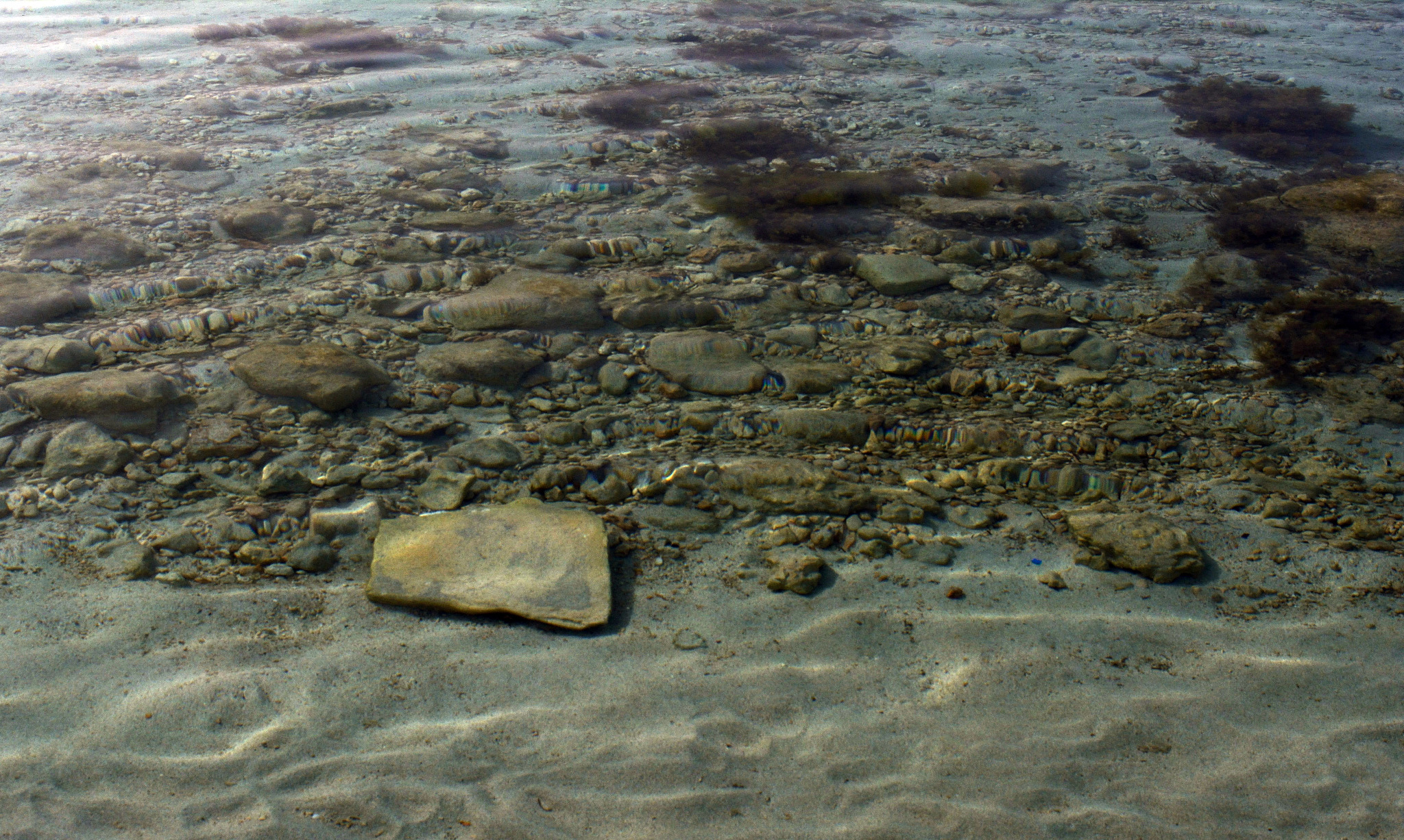 海洋石油地质期刊：MARINE AND PETROLEUM GEOLOGY - 研究、勘探与开发