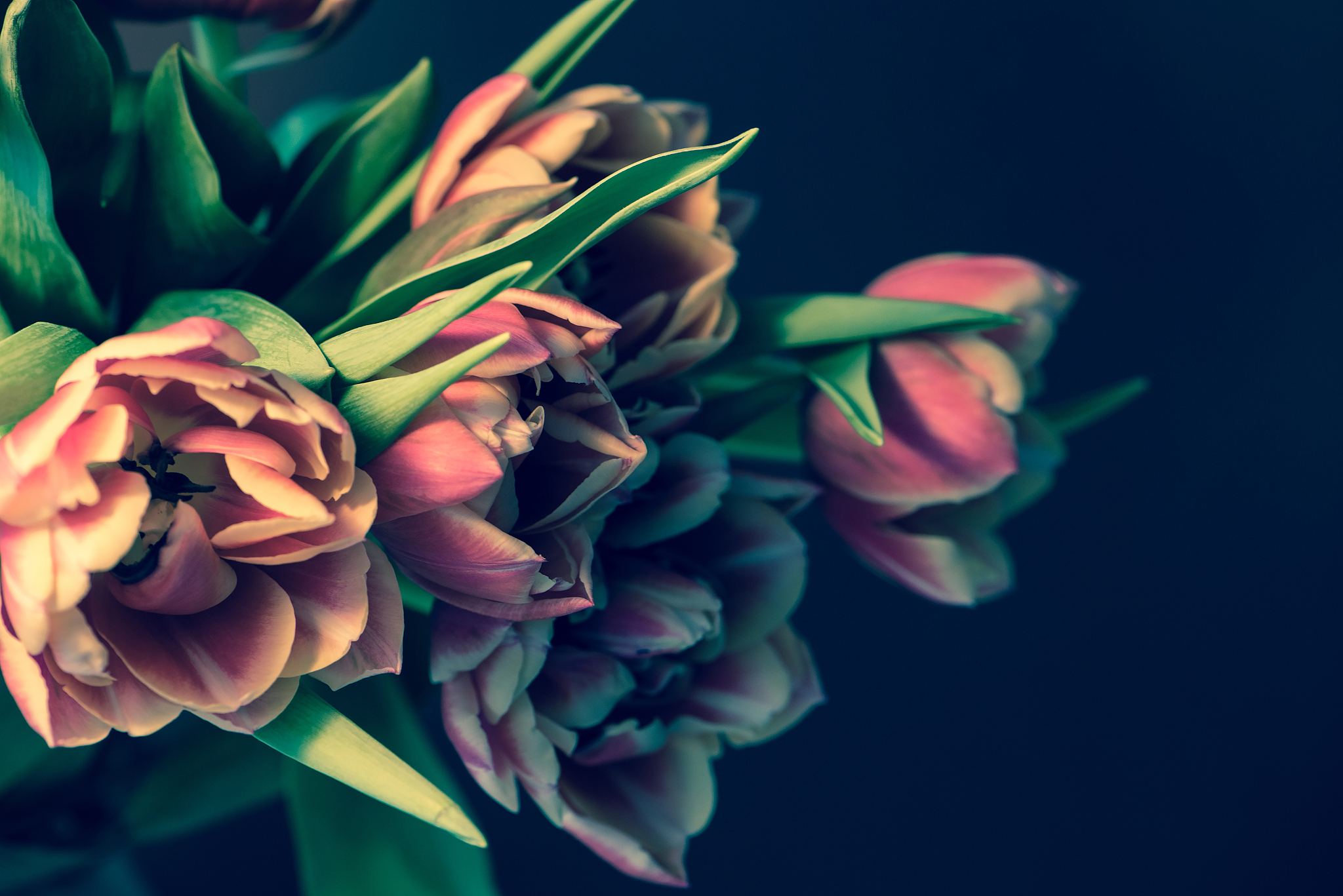 写一篇关于描写春天的优秀作文