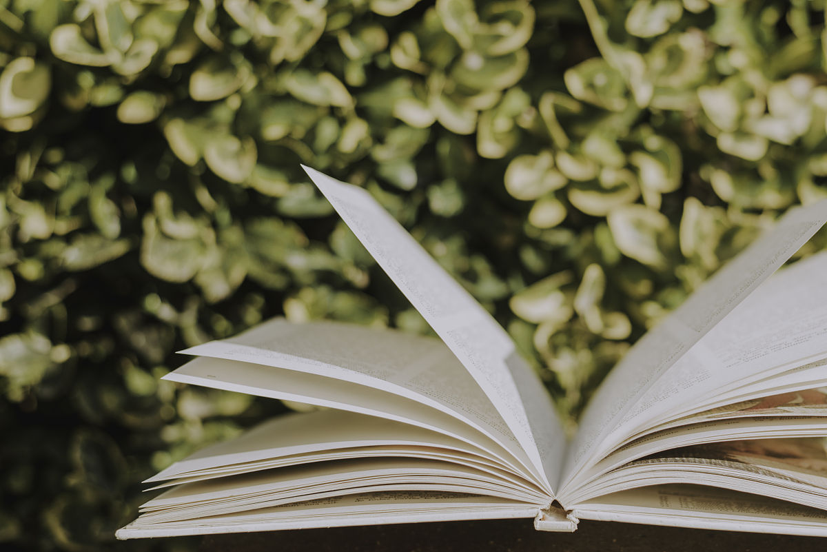 不要让手机占据我们的生活偶尔看看书来陶冶情操以此为题目根据用户画像、内容运营来续写文案