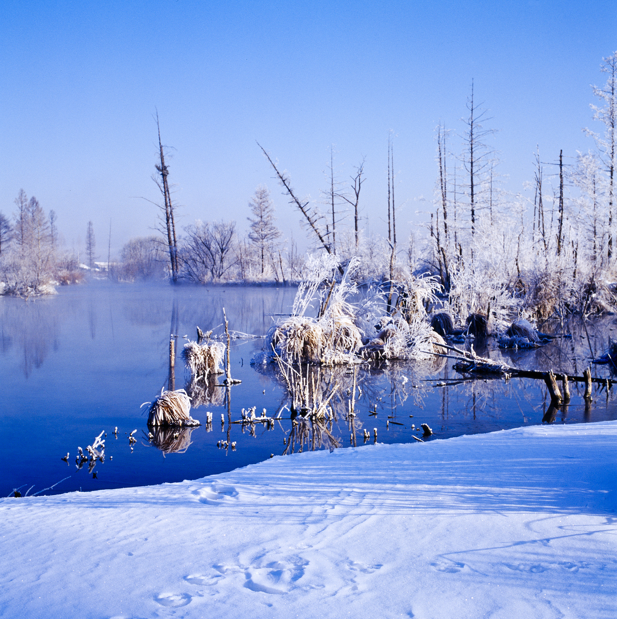 长春冬天风景描写：雪景、冰景、雾景 (七年级)