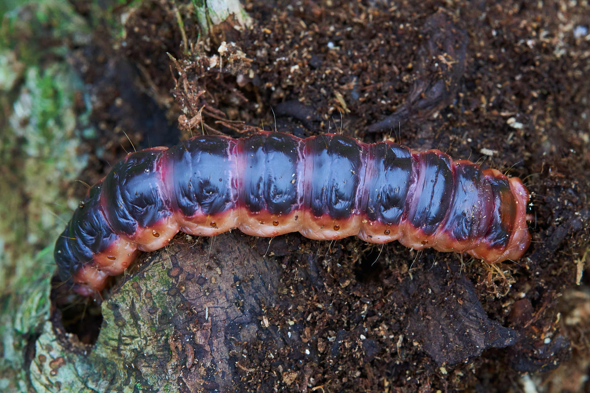 15 度的正弦值是多少？详细解析及计算