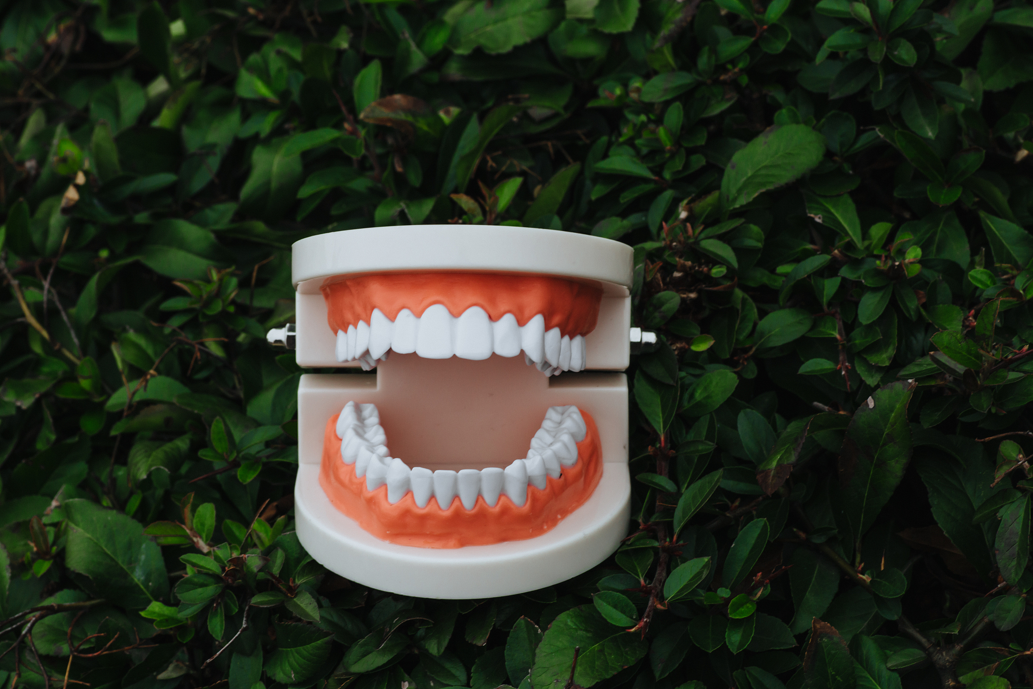 重庆卫生技工学校口腔医学课程：内容、教学质量及学习建议