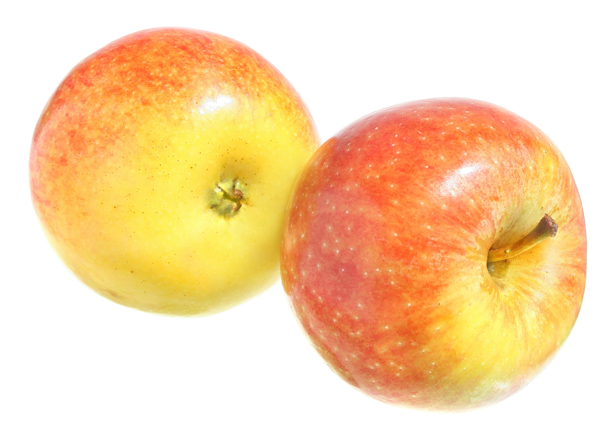 apple