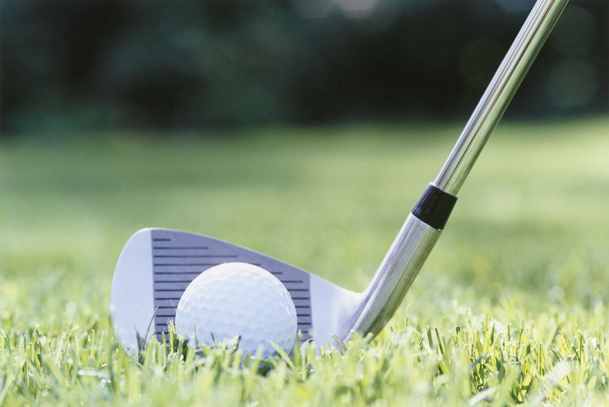 高性价比球杆：多种尺寸选择，满足个性化需求