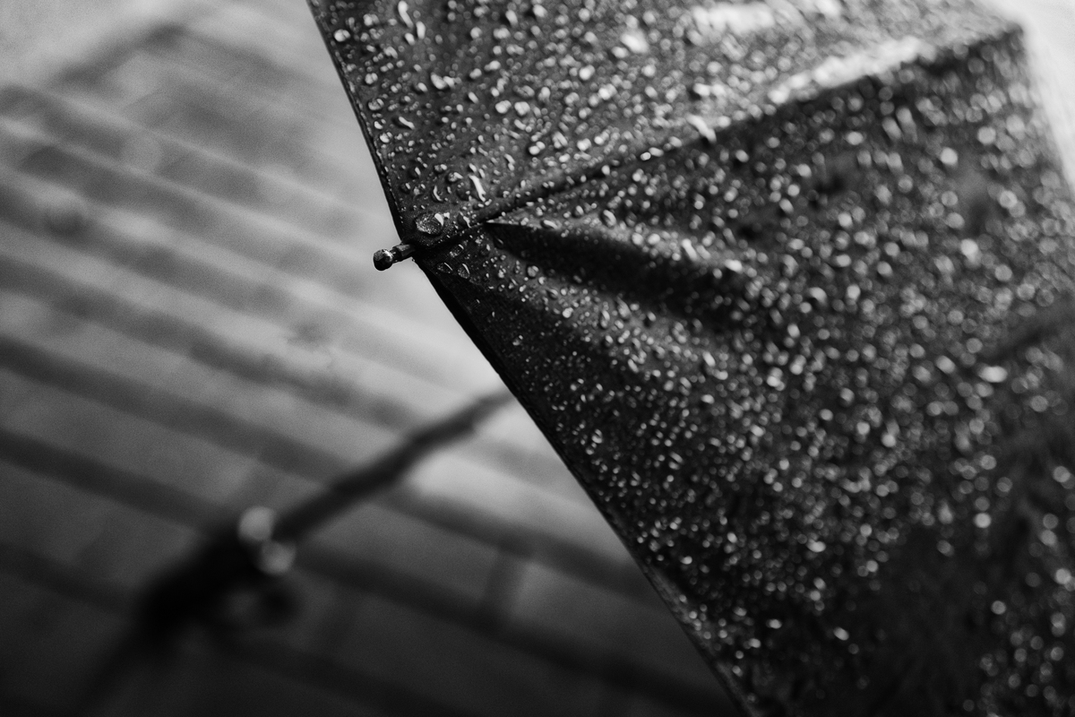 雨纷纷，旧故里草木深：回忆与感悟