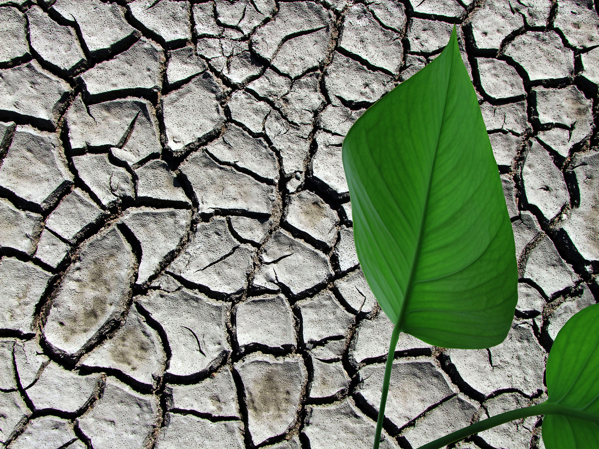 滑坡的形成机理