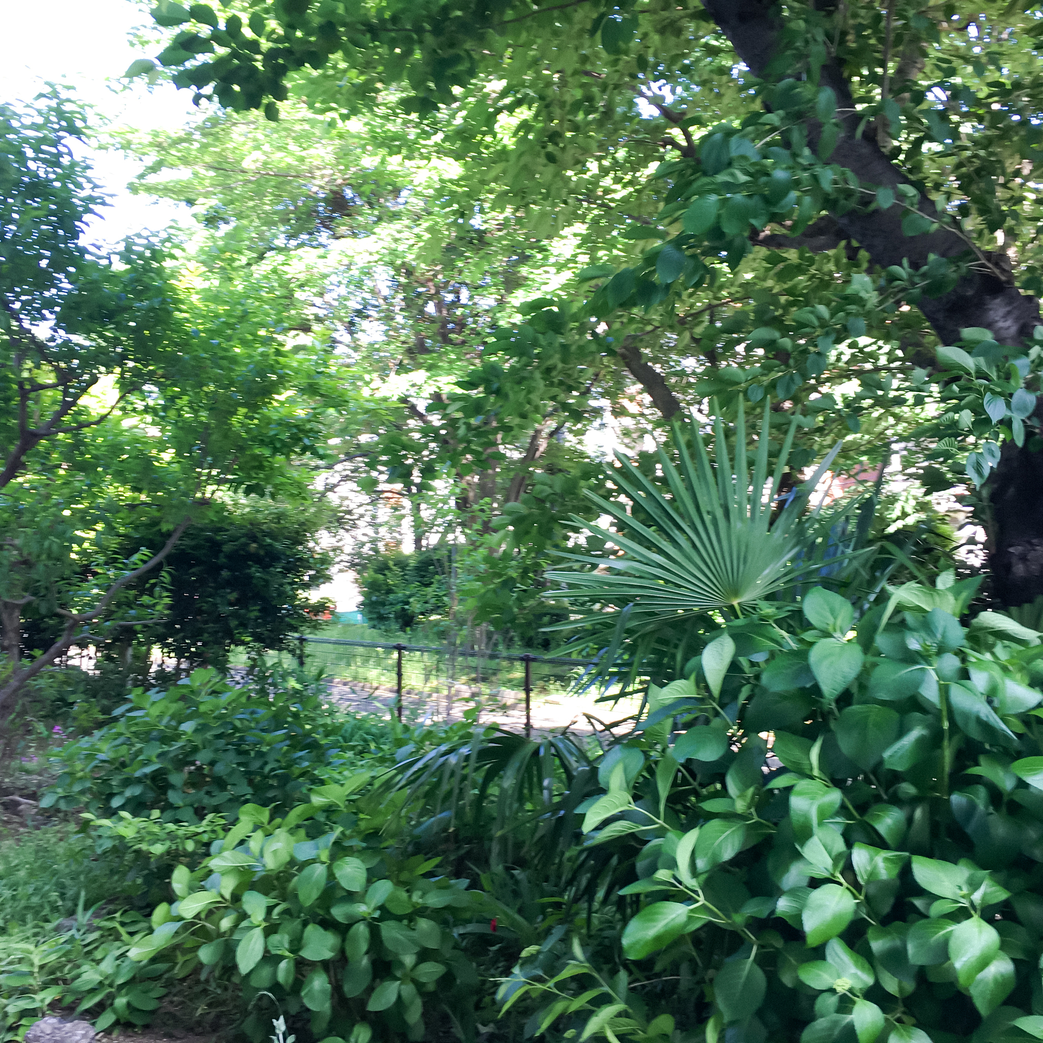 广东海洋大学植物保护专业怎么样