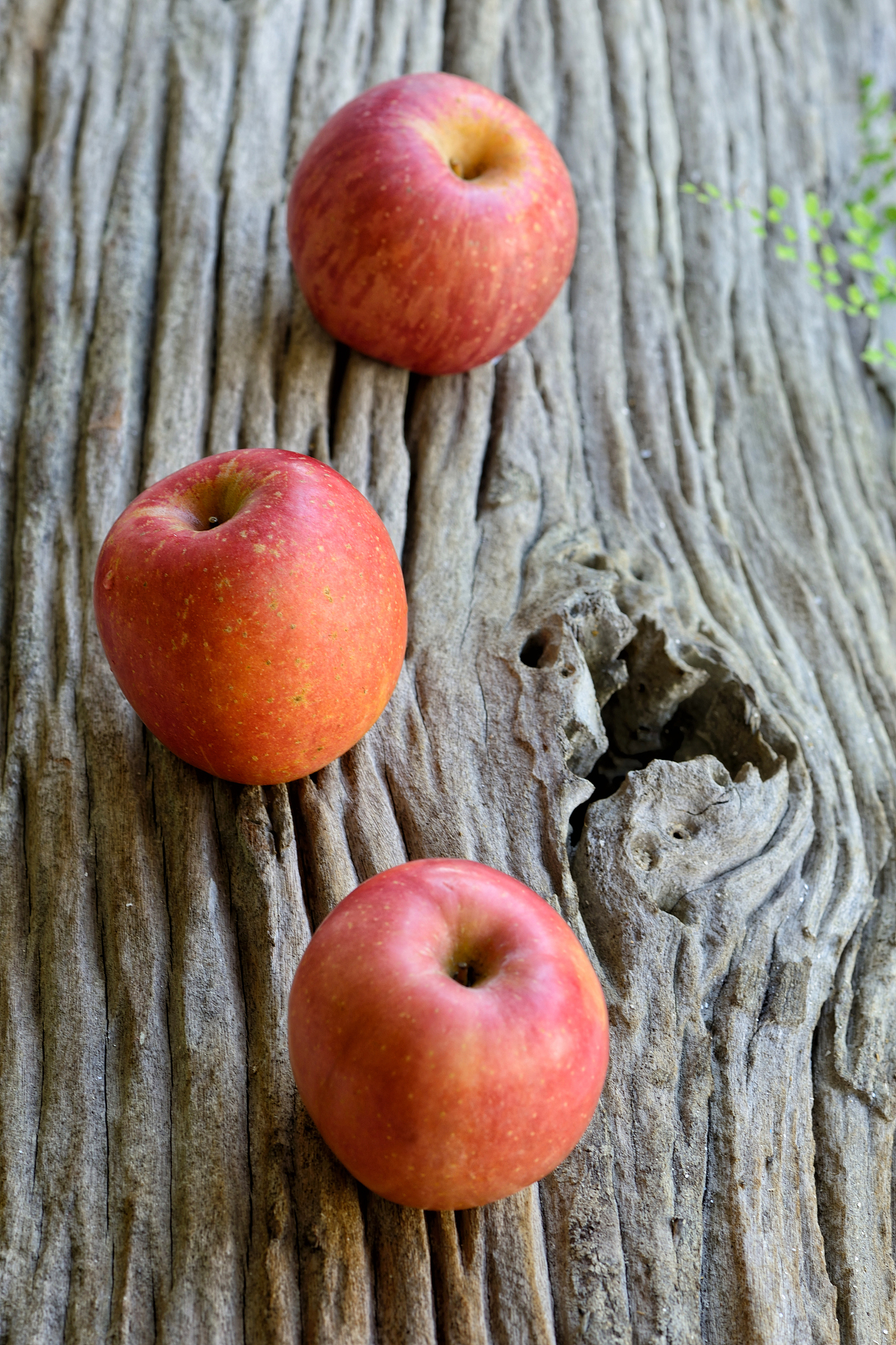 red apple