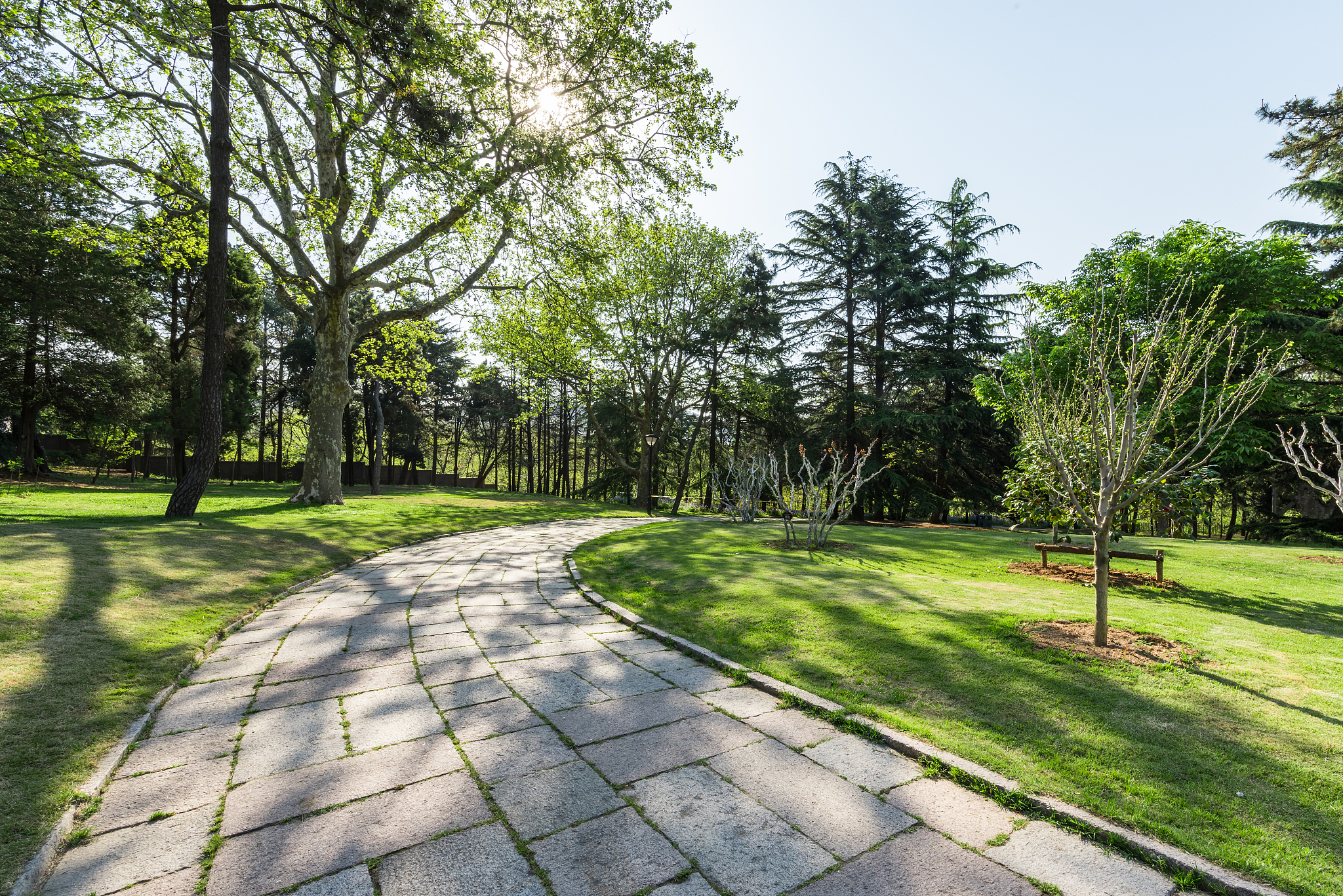 公园散步：300字描写自然美景