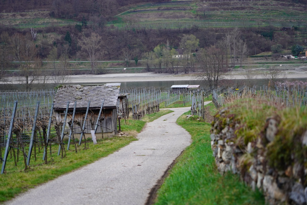 写一篇关于美丽乡村村道整治提升打造宜居宜游的乡村风景线的短新闻
