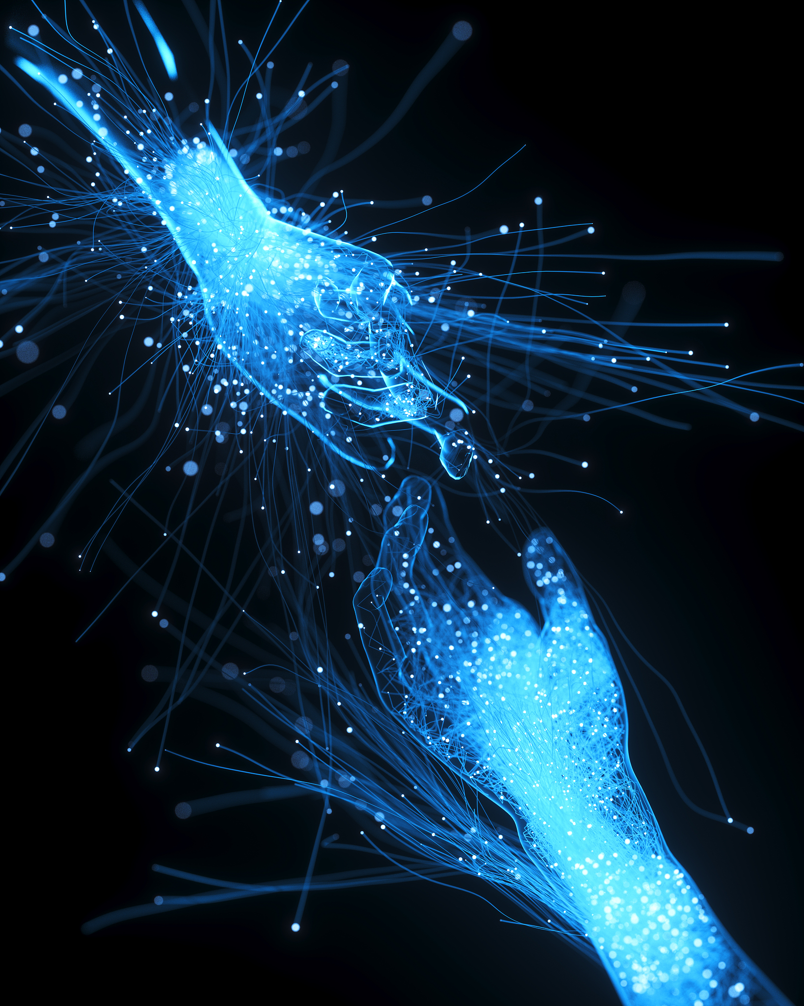 西北工业学校的计算机应用专业就业前景怎么样