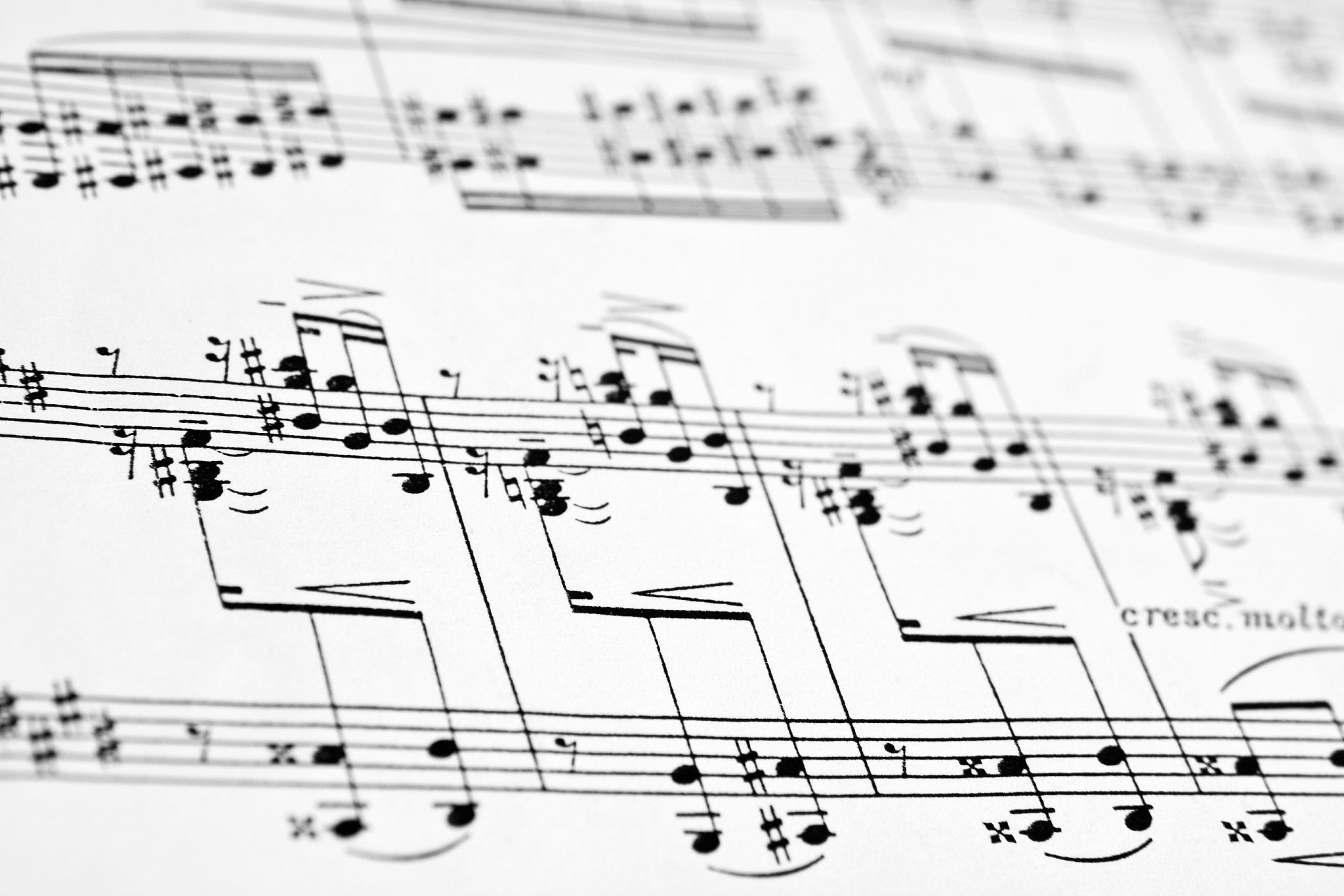 教师对音乐理论的掌握