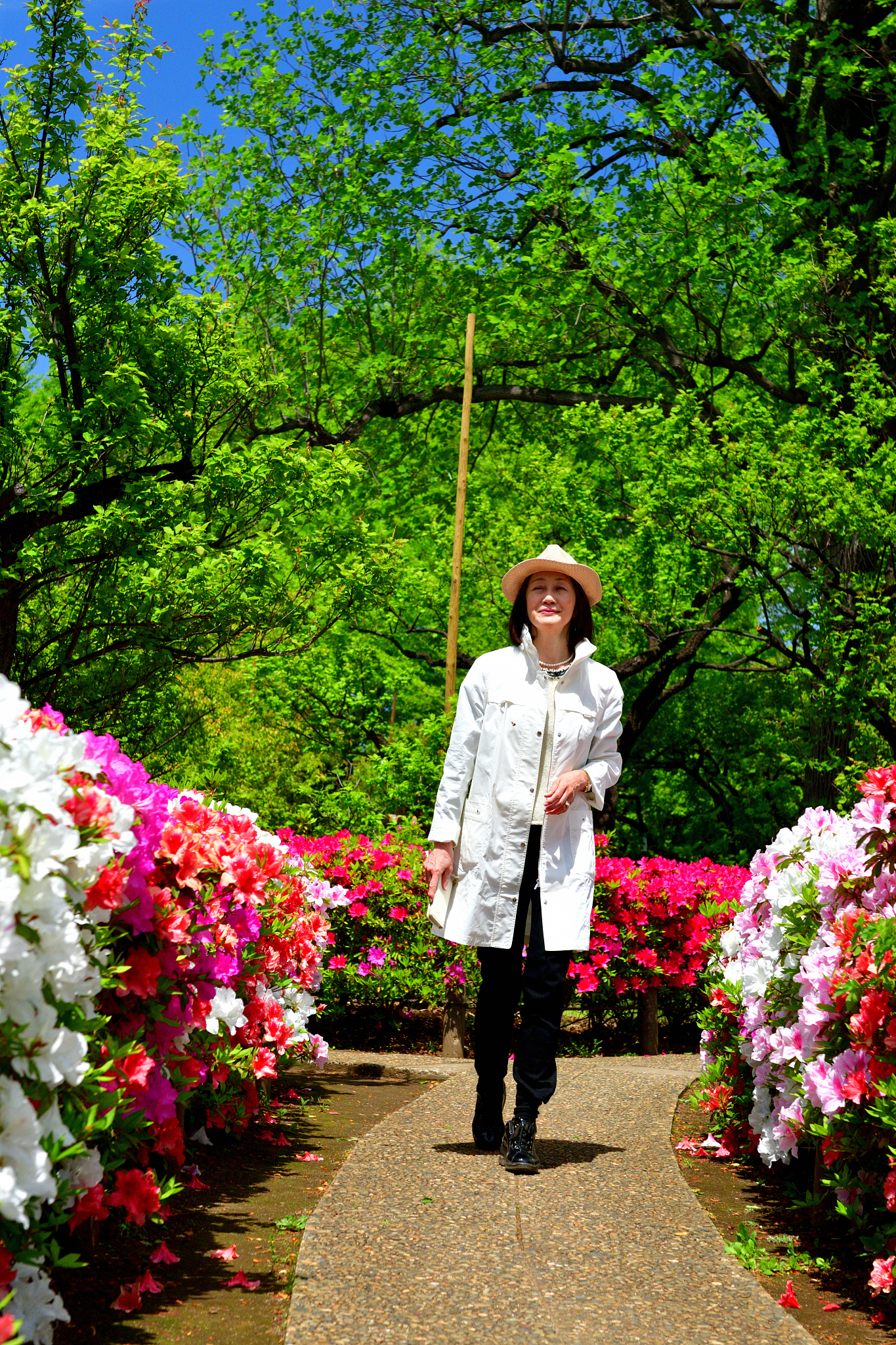 japanese woman walking in park with azalea flowers in full bloom