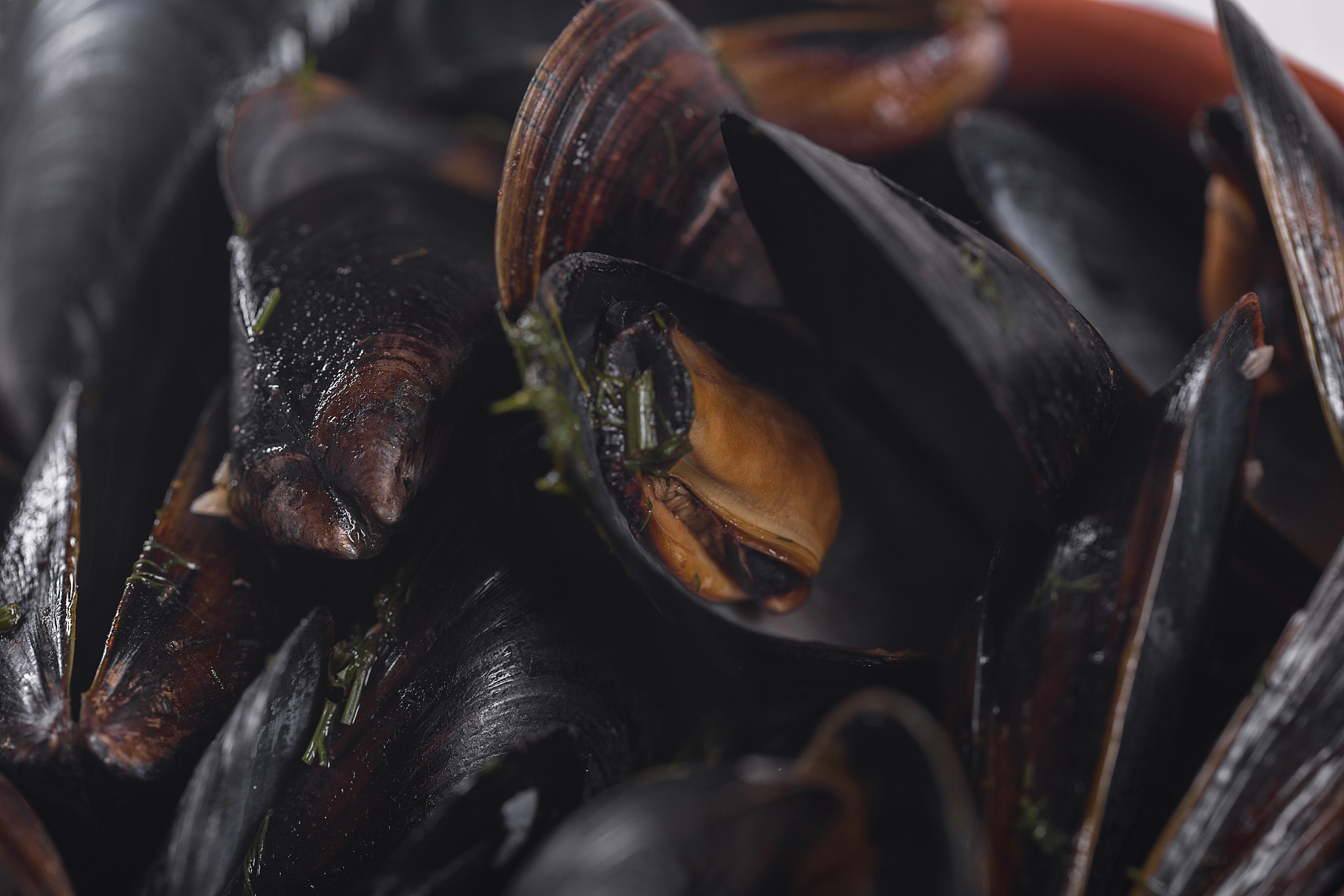 怎么原始金钱基类