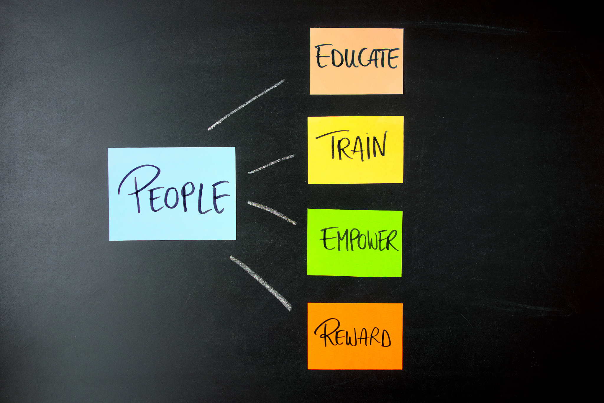 people and human resources management