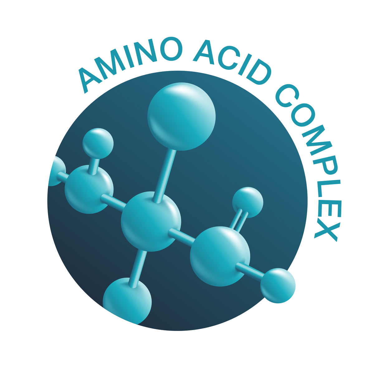 胶原蛋白的分子结构差异如何影响其性能？