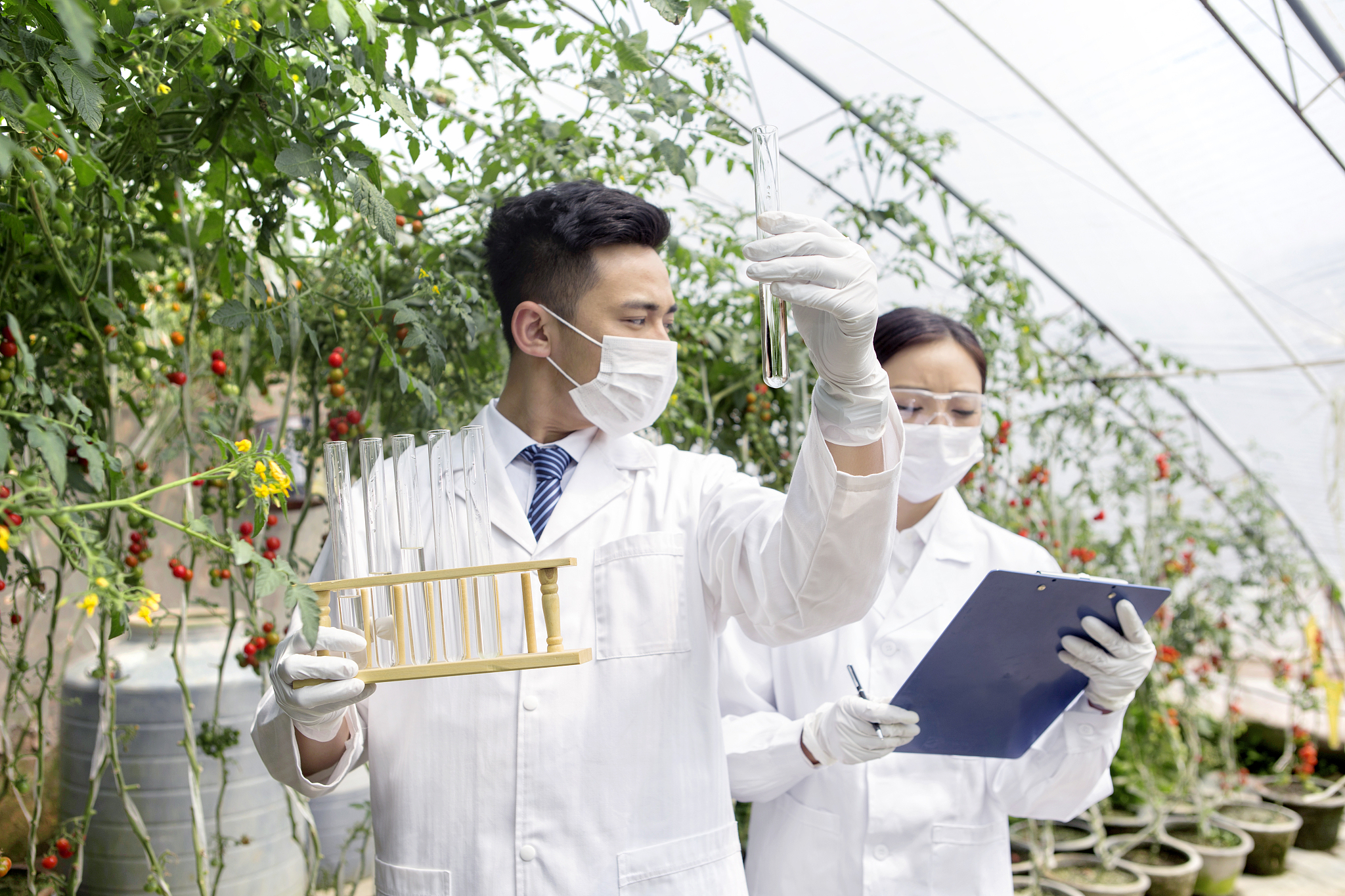 加强动植物疫病监测与防控，规范外来物种入侵，保护生物多样性