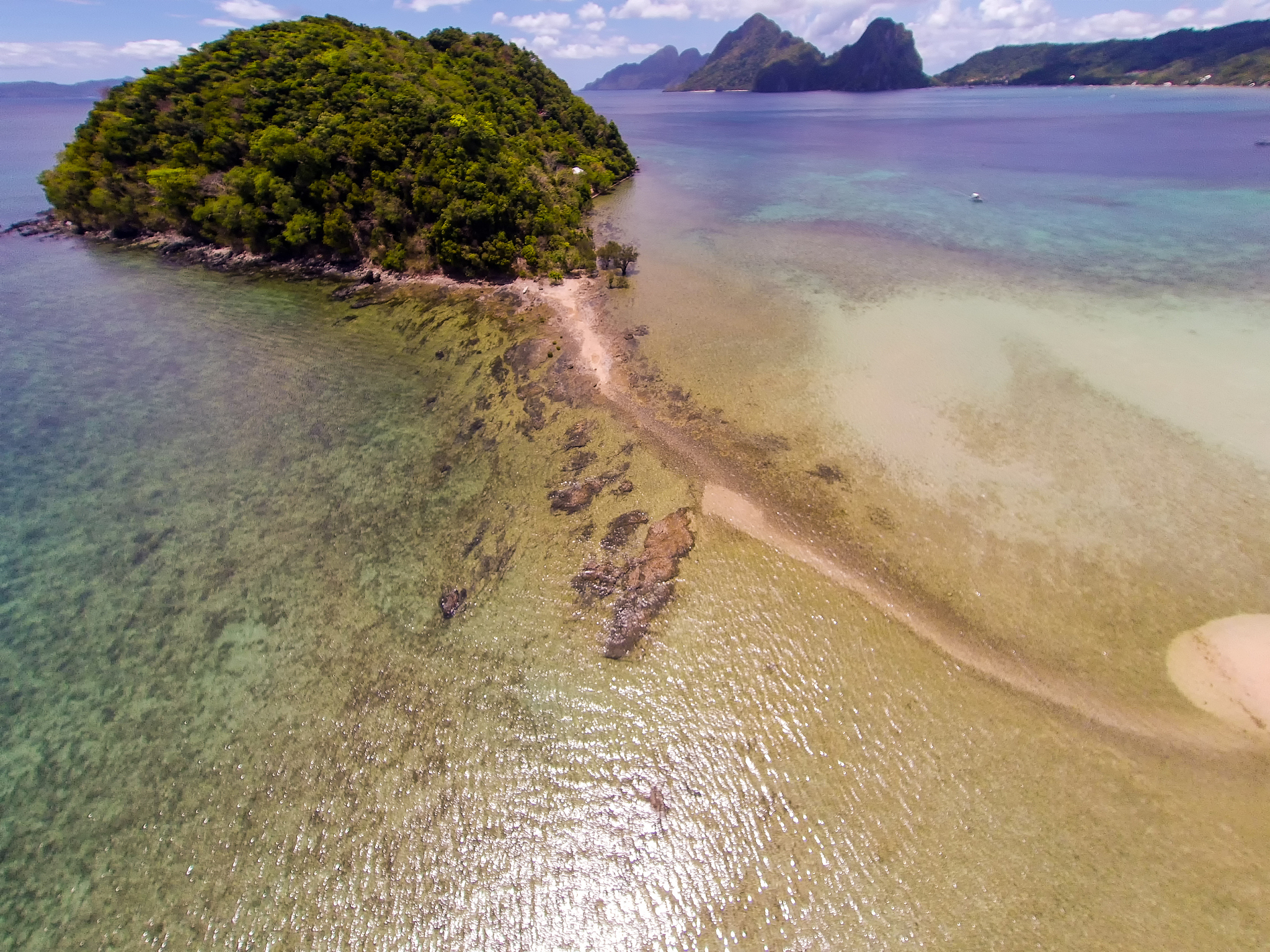 seascape landscape from the sky. beach on top. sea, sand, palm t