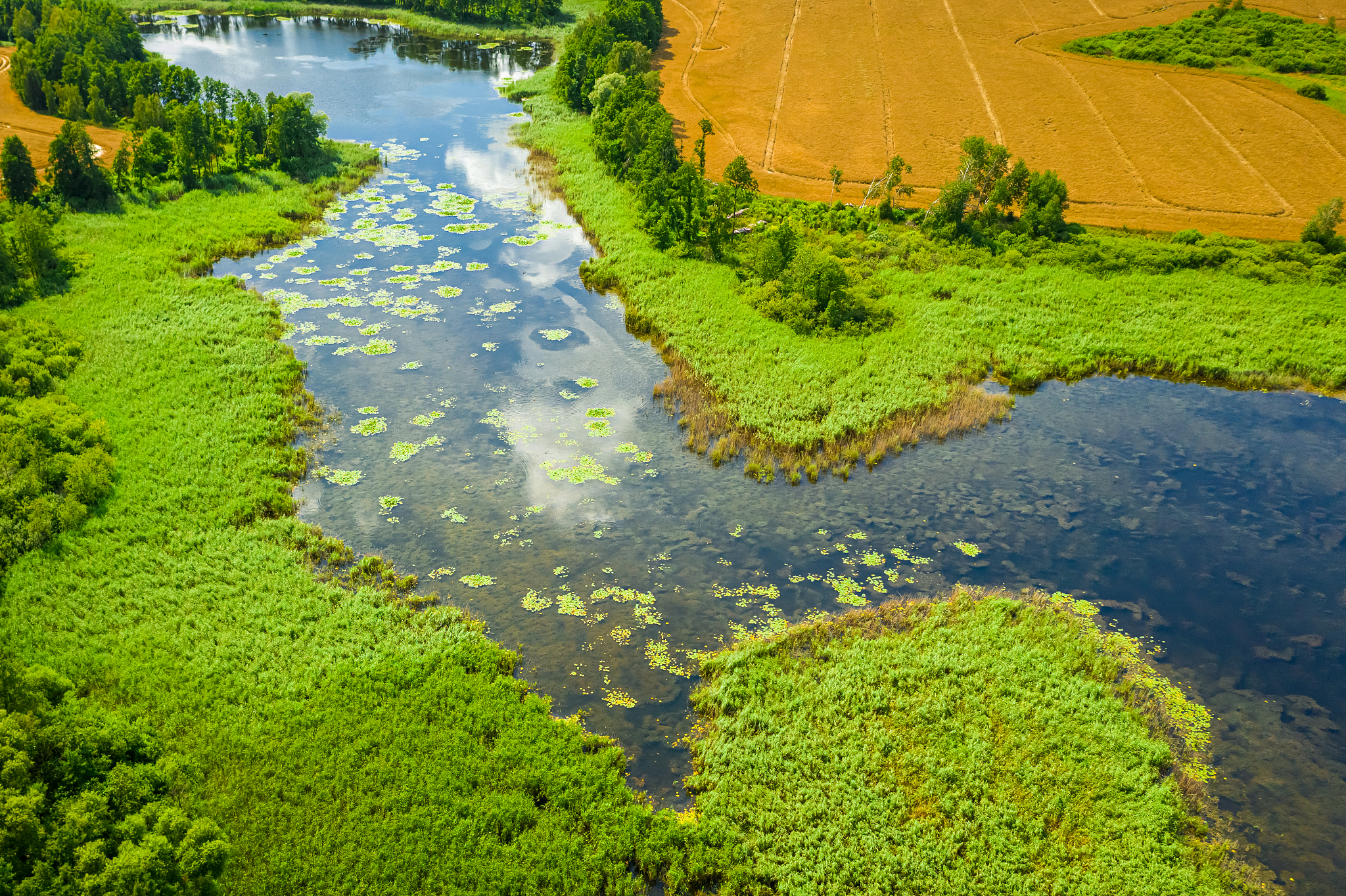 确保河流的持续保护和改善进一步润色句子