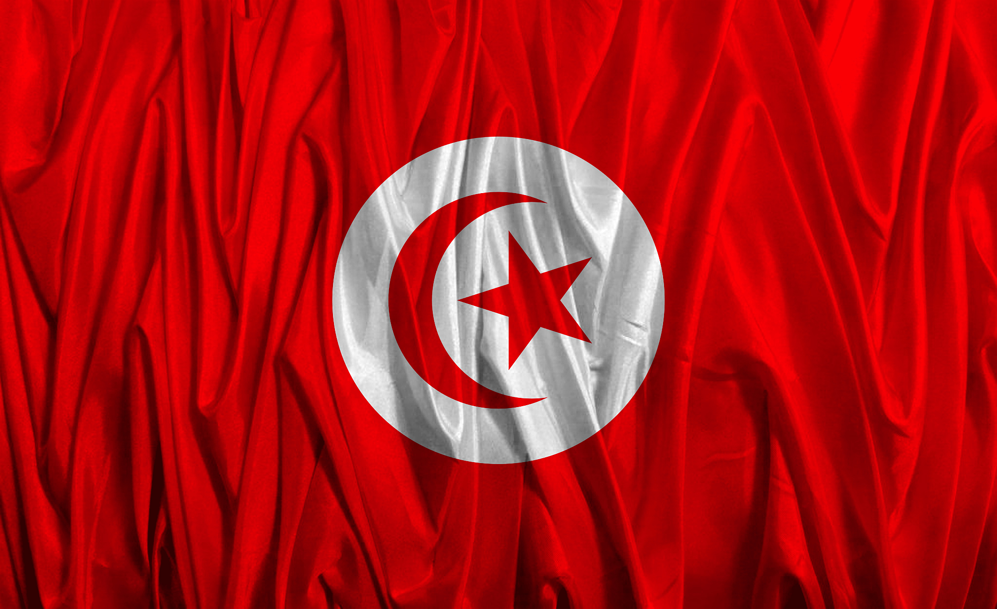 national flag of tunisia