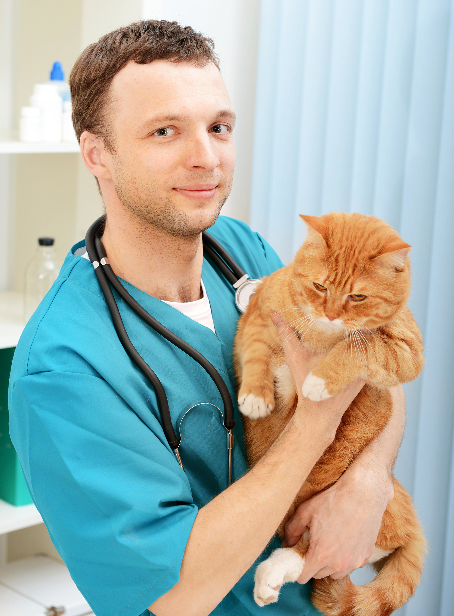 猫被困滚筒洗衣机：危险！如何安全取出？