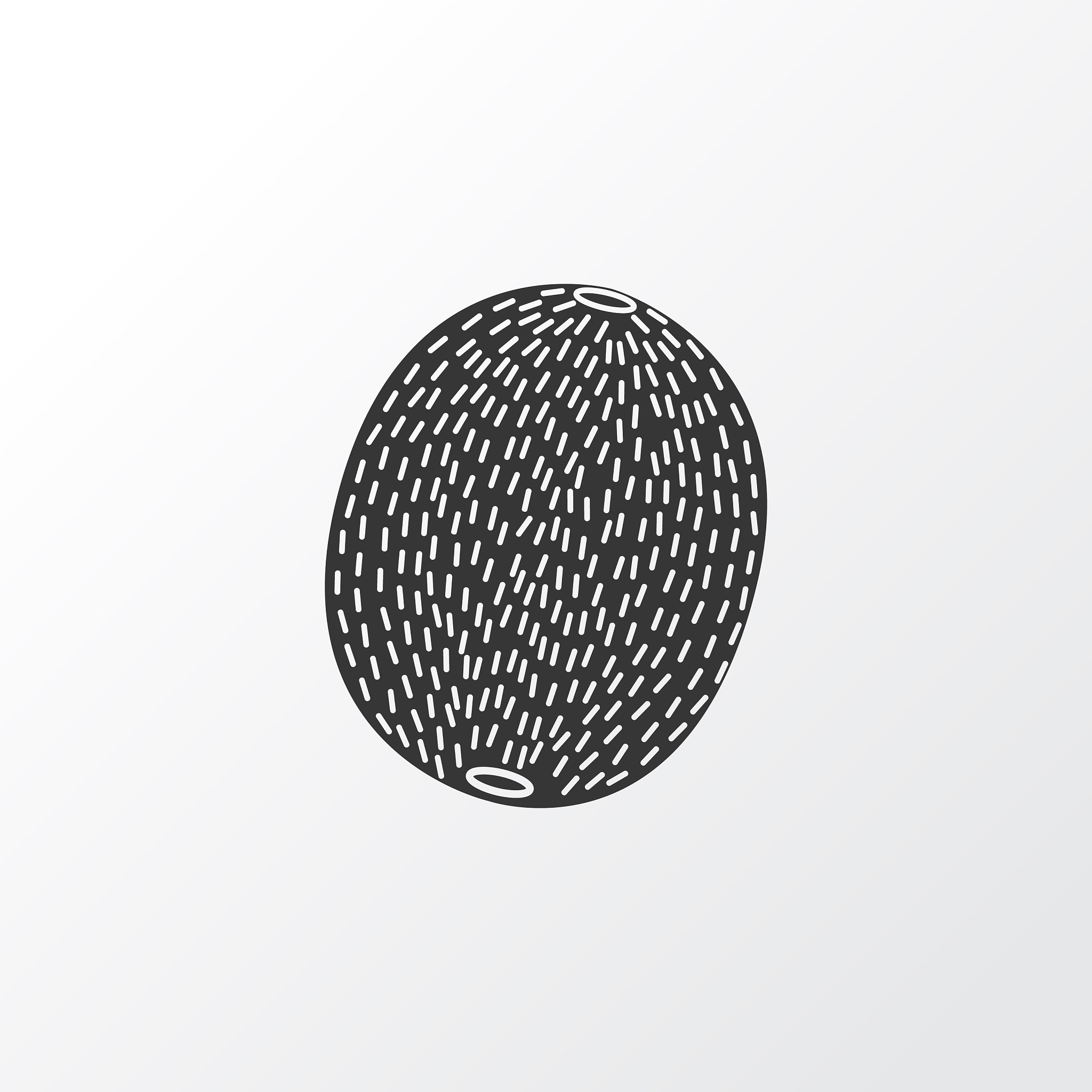 齐峰果业猕猴桃营销策略研究：产品品质不稳定挑战与应对