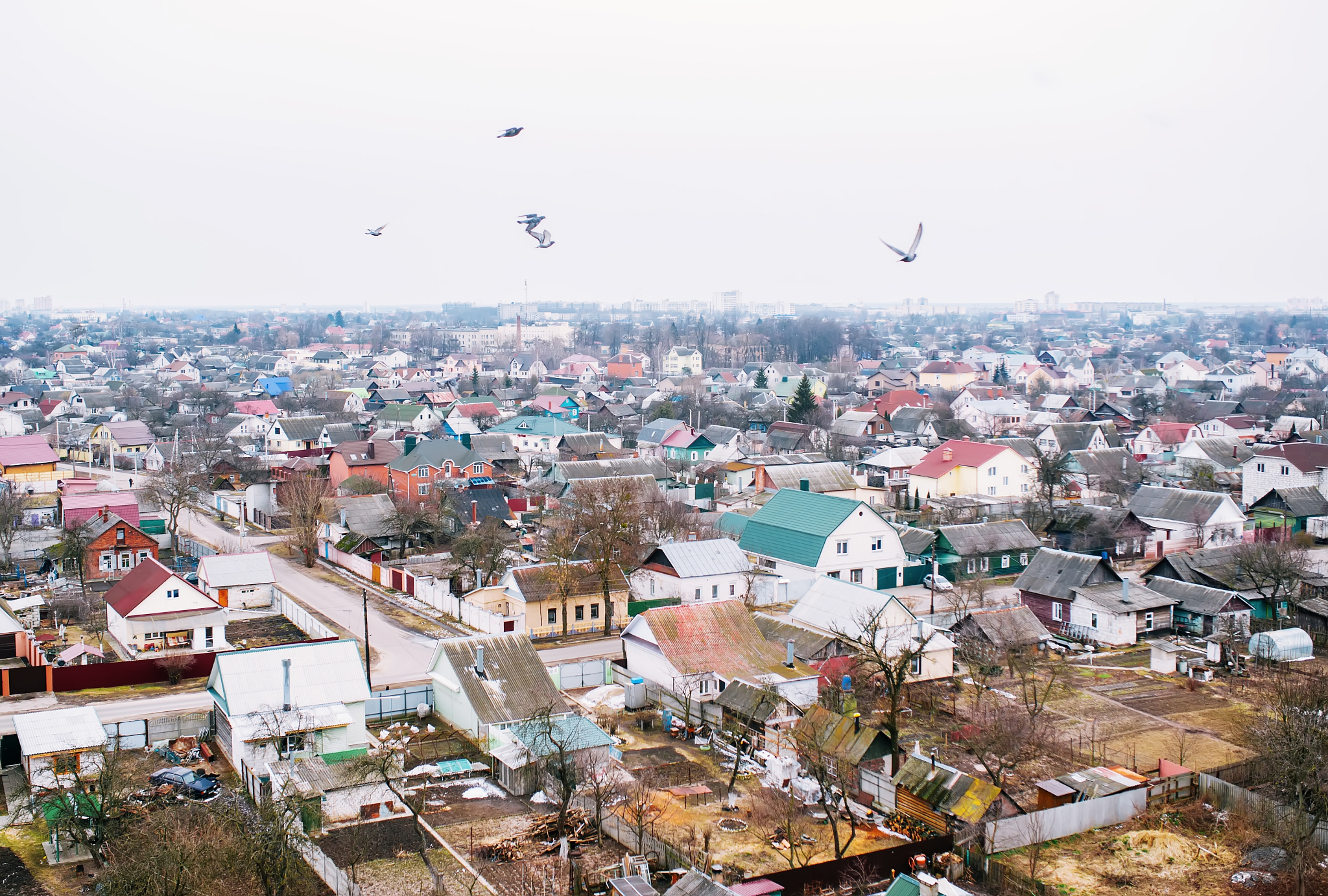 picturesque view of city with birds in sky from height of bird's
