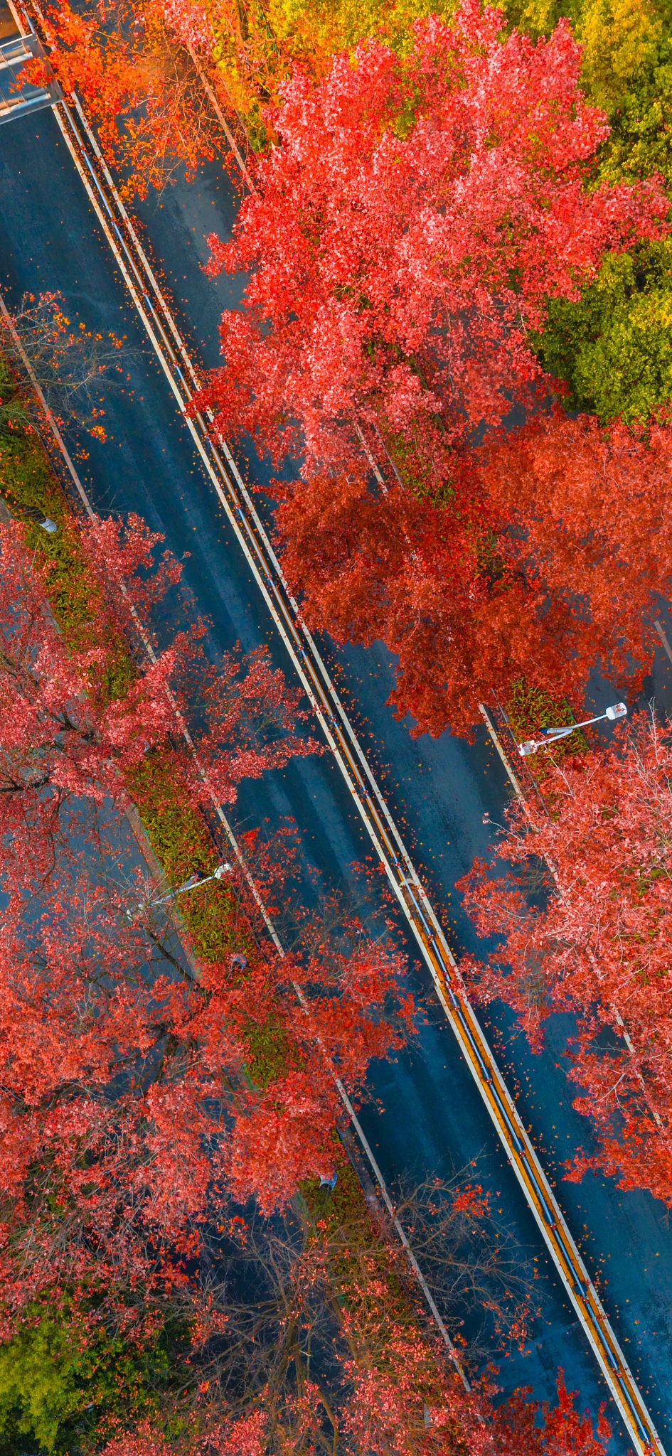 写一篇摄影中的构图技巧：对称、比例和对角线