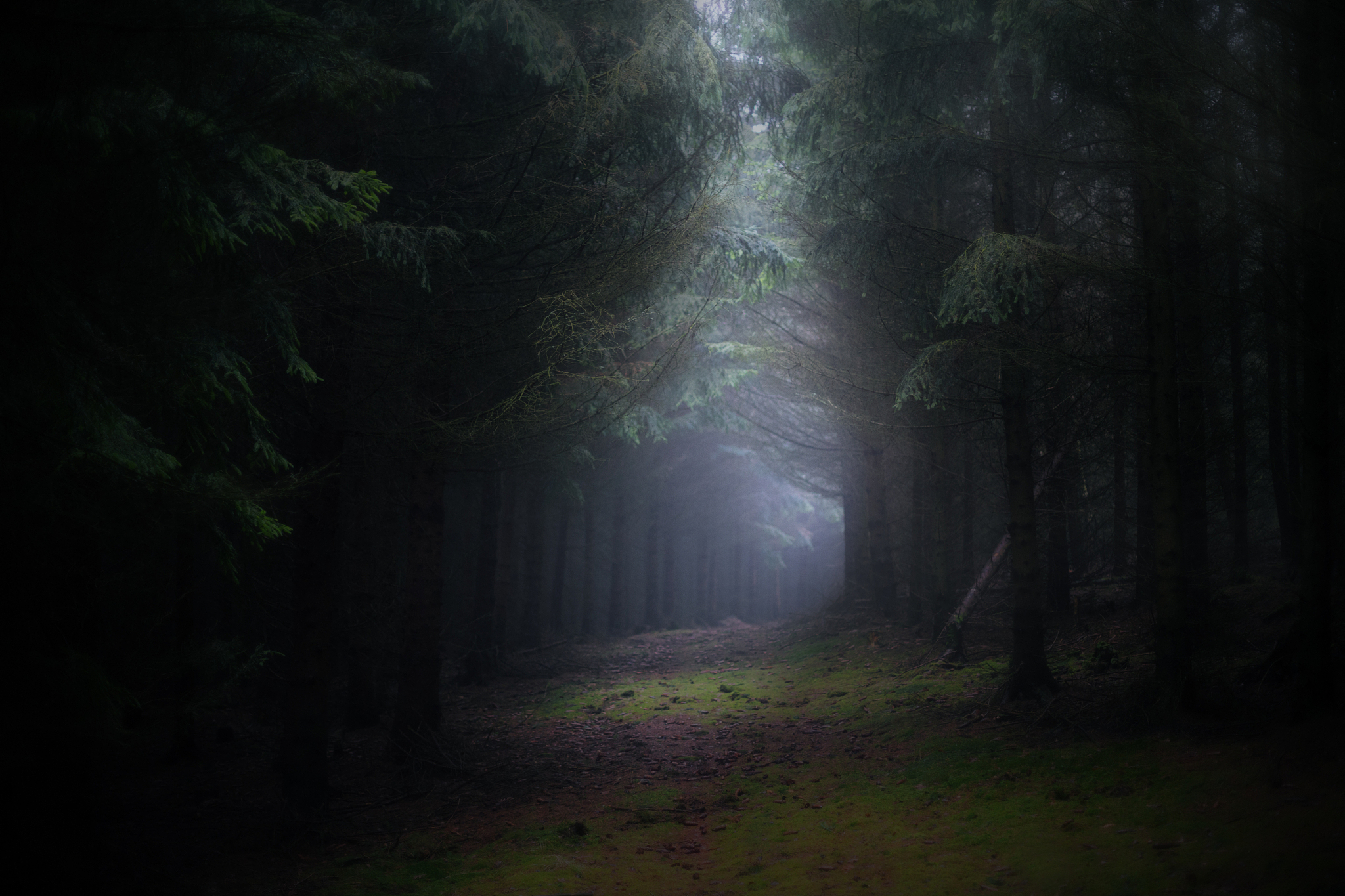 幽暗迷雾小路：神秘之旅的起点