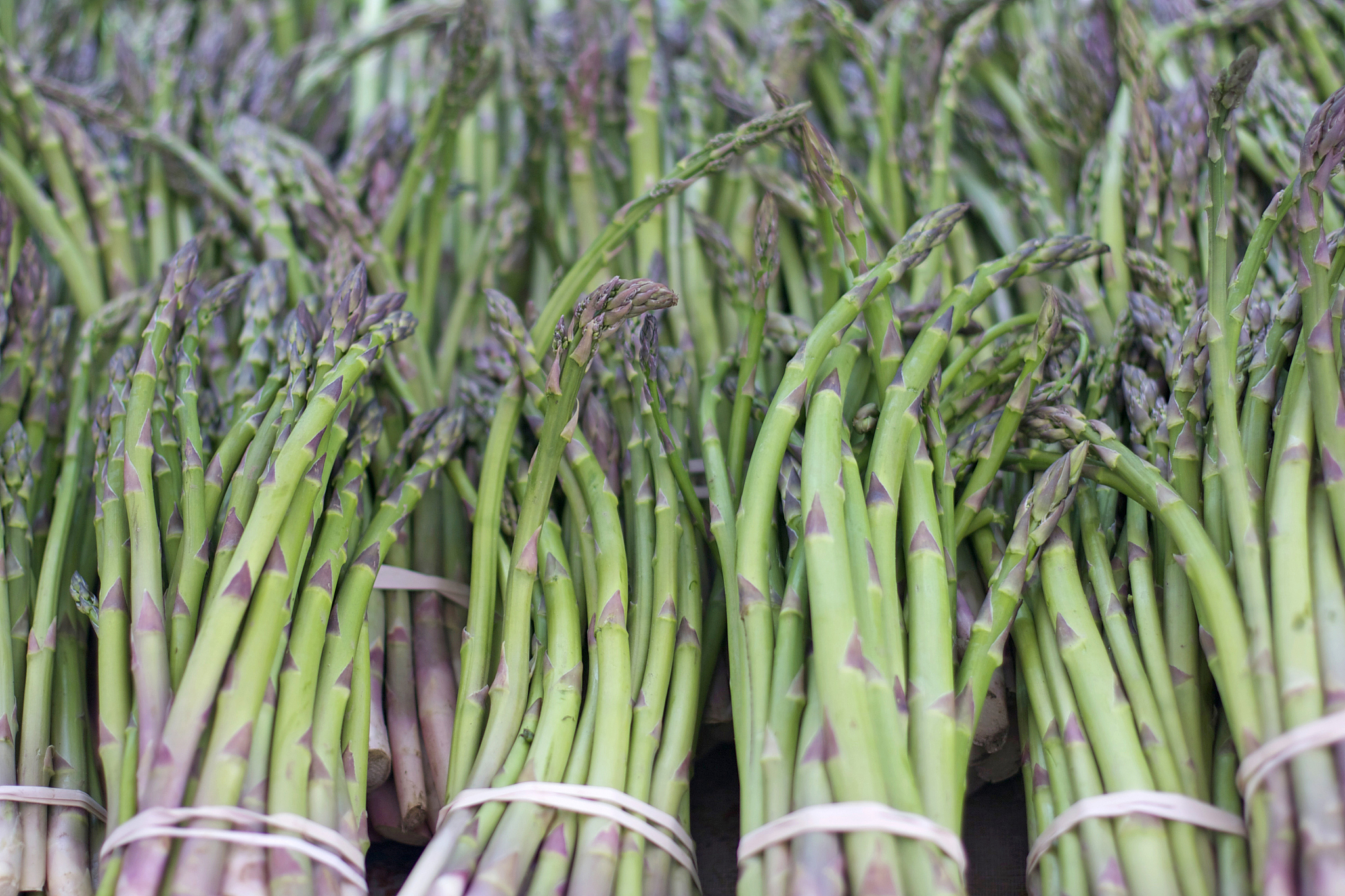 asparagus