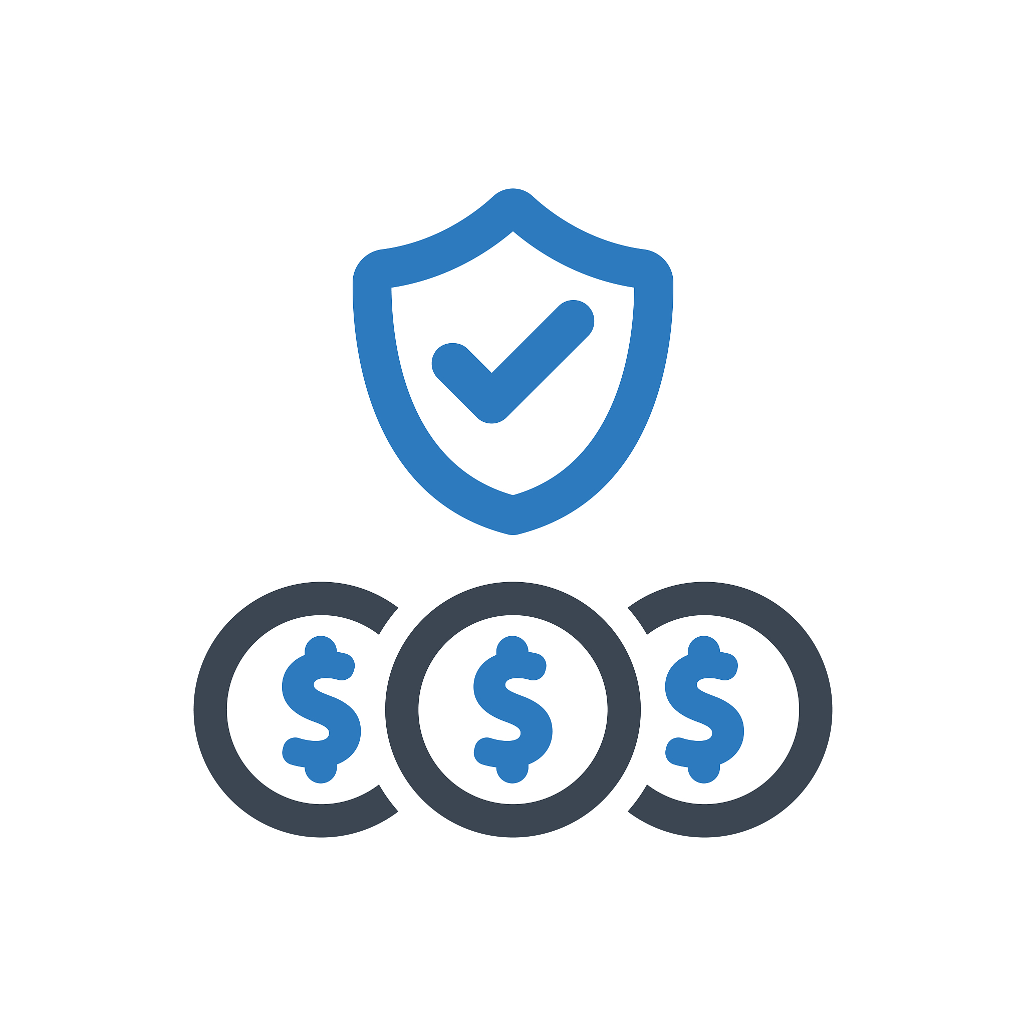 finance protection icon