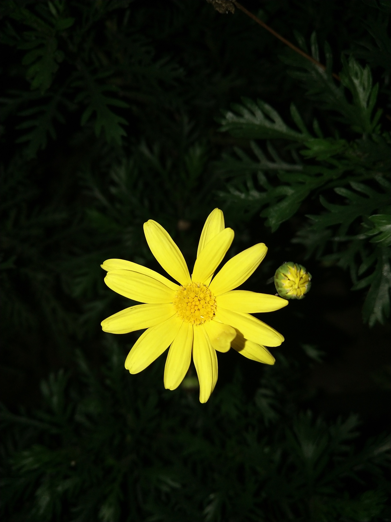 小女孩起名 有诗意