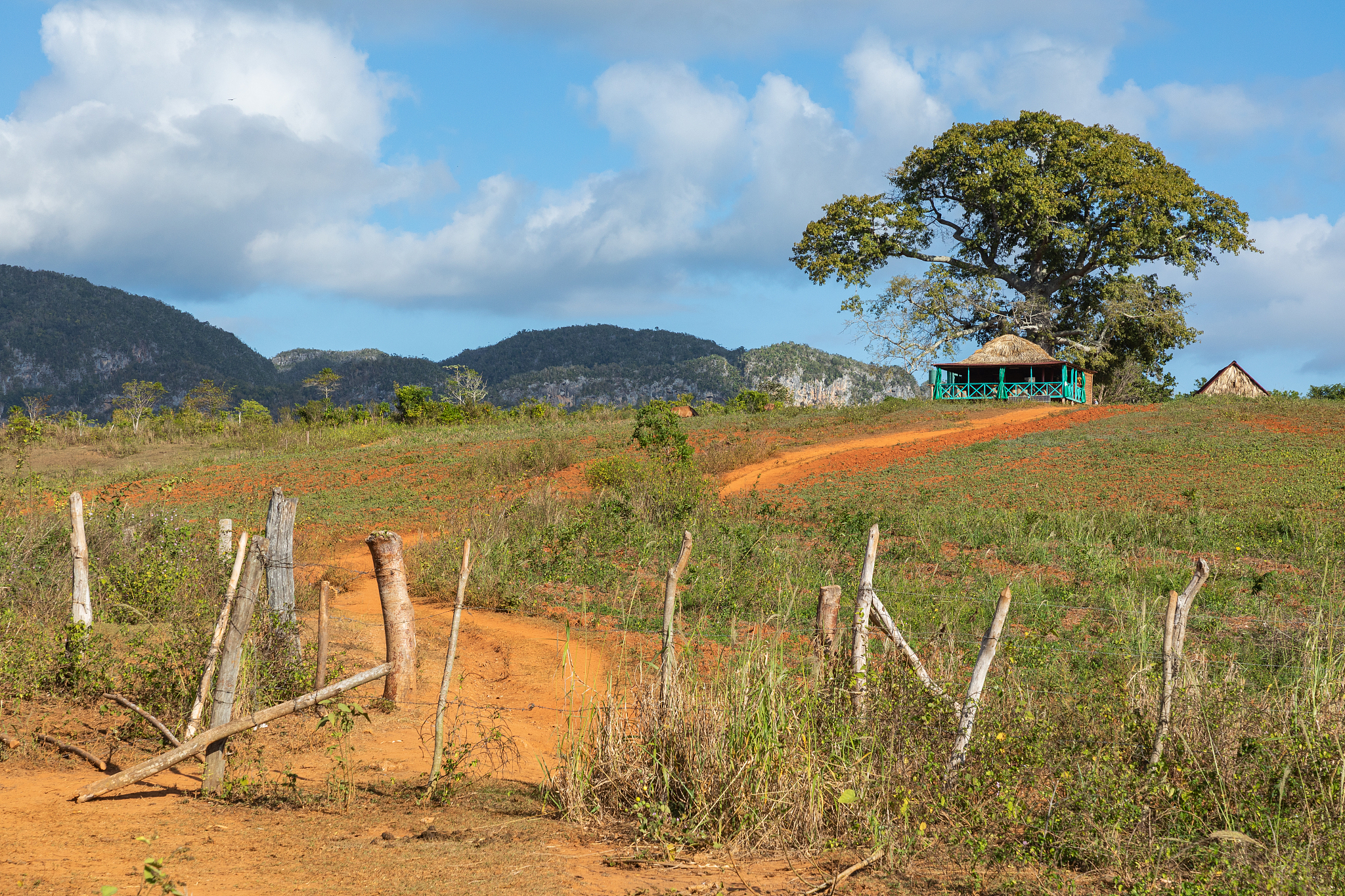 the vinales valley (valle de vinales), popular tourist destinati