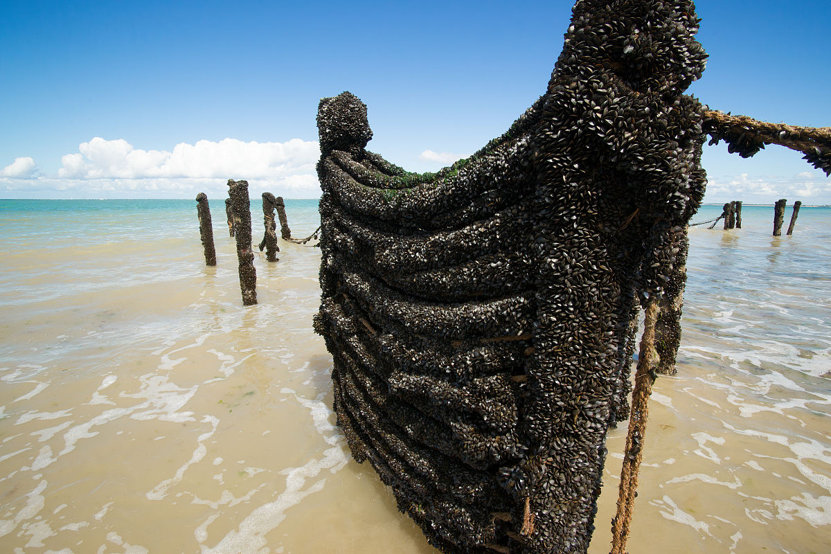 2019年四川省水产学校招生专业及计划 - 培养水产养殖人才